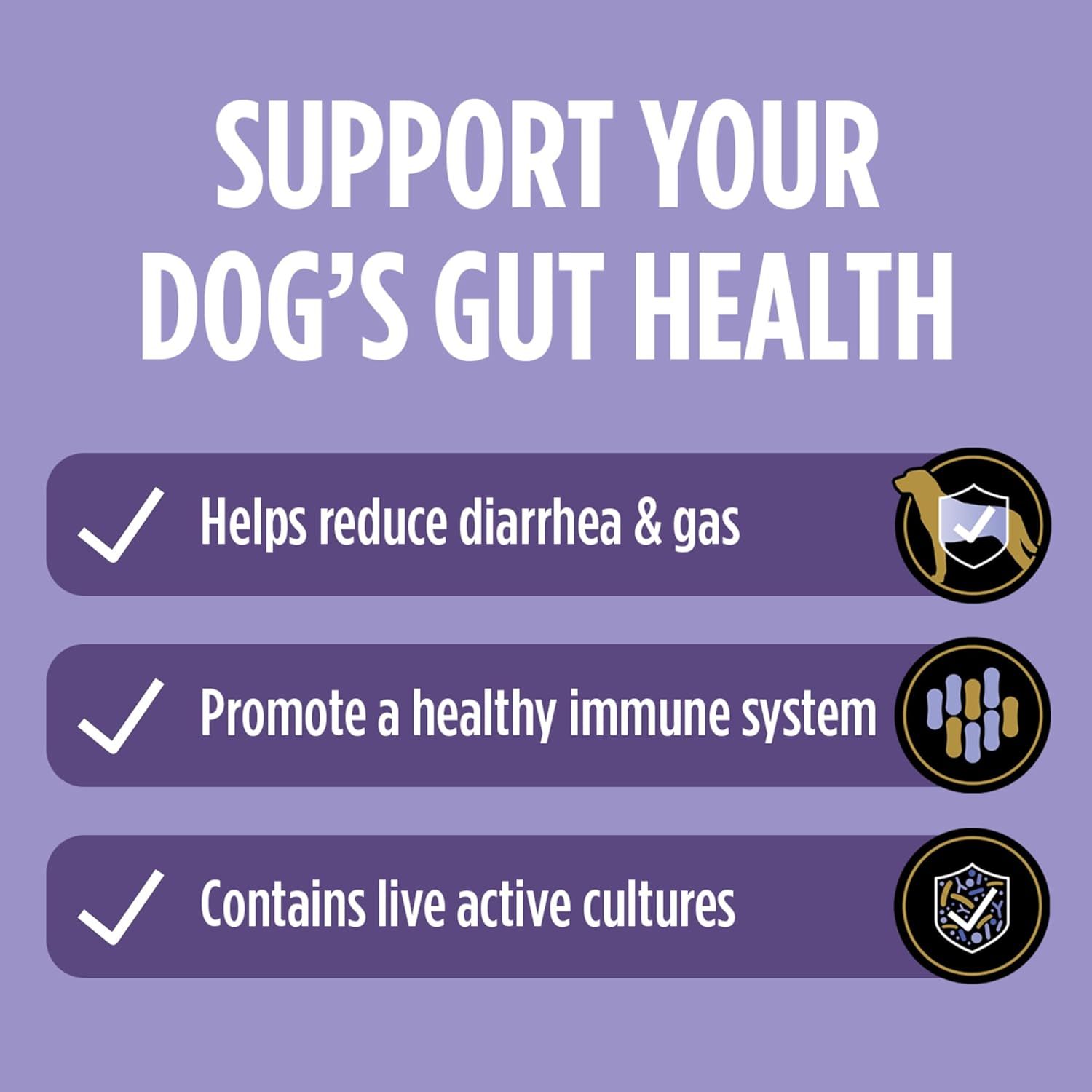 Communicates multiple distinct health benefits of the product for dogs' gut health, using a visually segmented checklist layout to highlight three key selling points.
