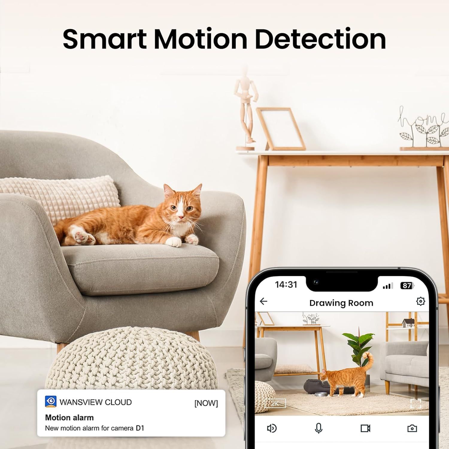 Demonstrates the product's smart motion detection capability by showing a real-time alert notification when the camera detects movement (the cat), reassuring shoppers that they'll be notified of…
