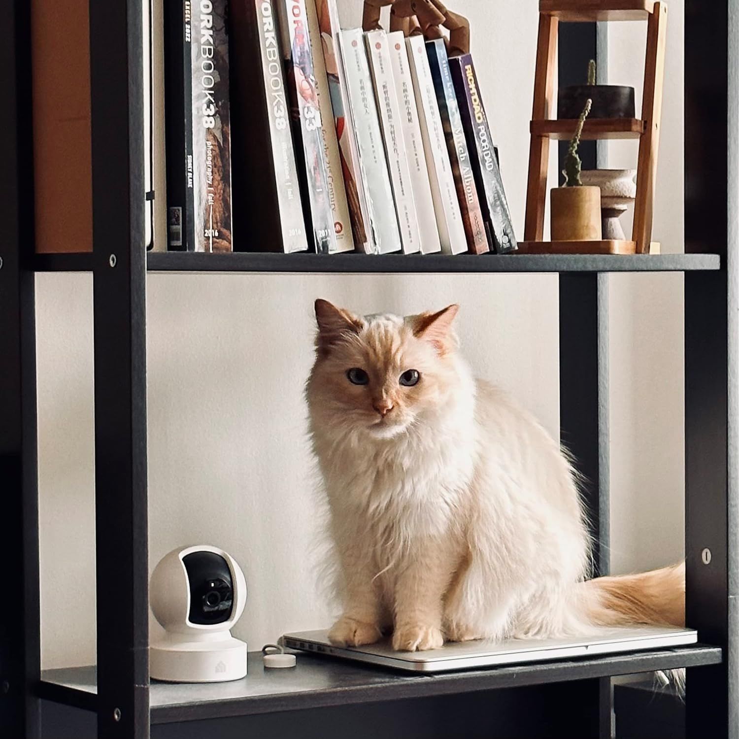 Demonstrates the product in a natural home setting to help shoppers visualize how it fits into their everyday living space.