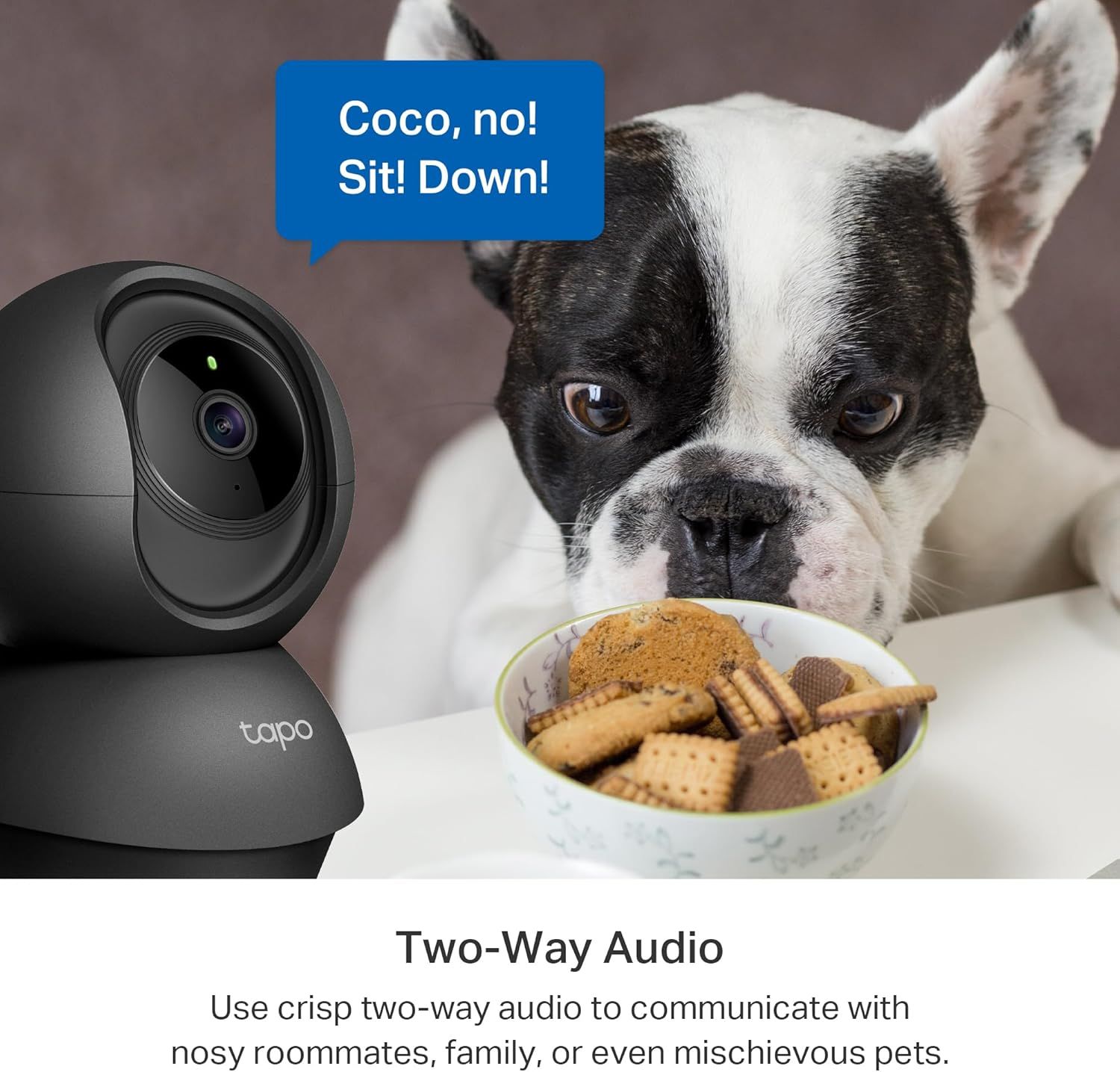 Demonstrates the camera's two-way audio feature, showing how users can communicate remotely with pets or family members to give commands or interact in real-time.