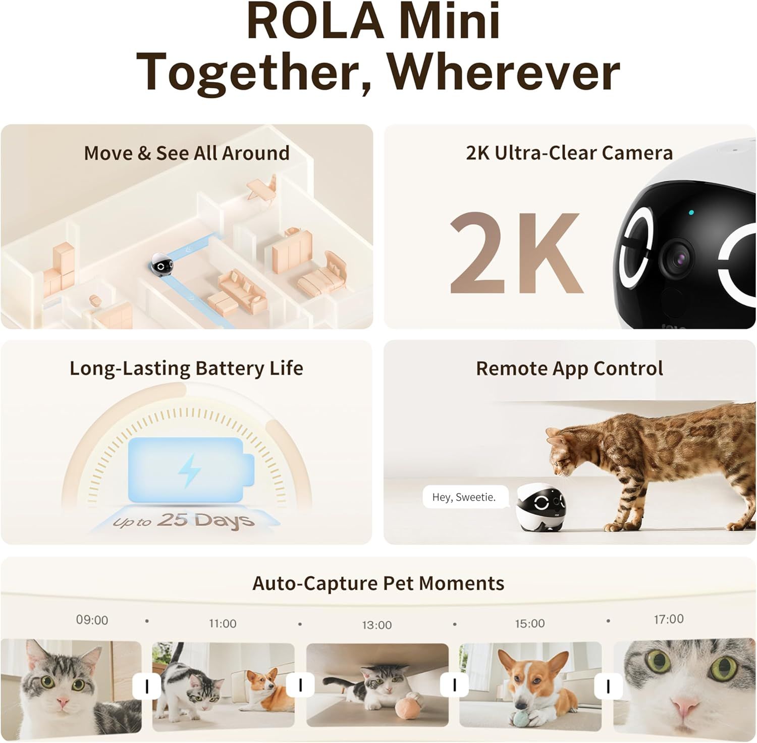 Showcases multiple key features of the ROLA Mini pet camera in a segmented layout to communicate its comprehensive capabilities for pet monitoring and interaction.