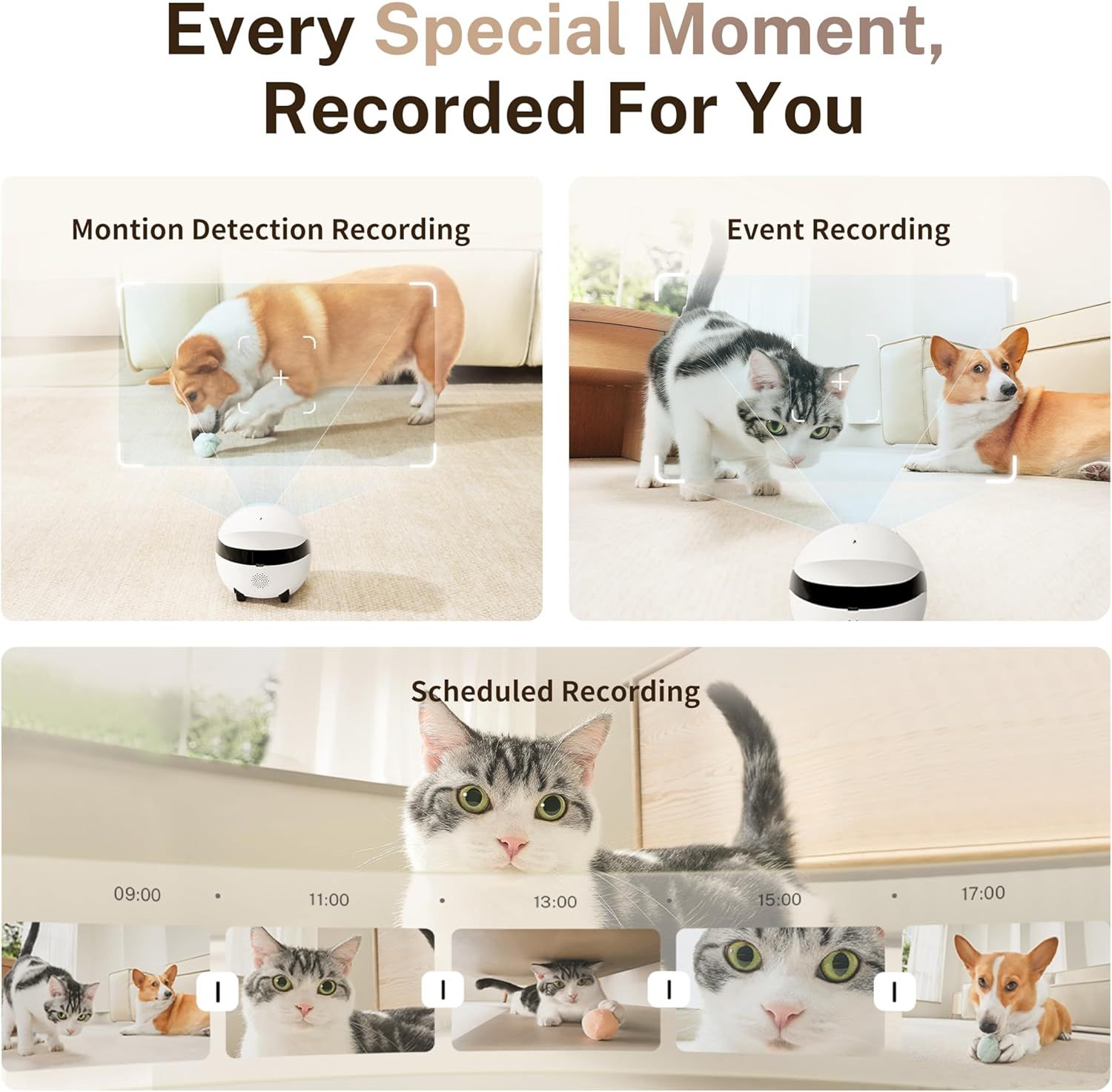 Demonstrates the three distinct recording modes of the pet camera to show shoppers the versatile monitoring capabilities for capturing every important moment with their pets.