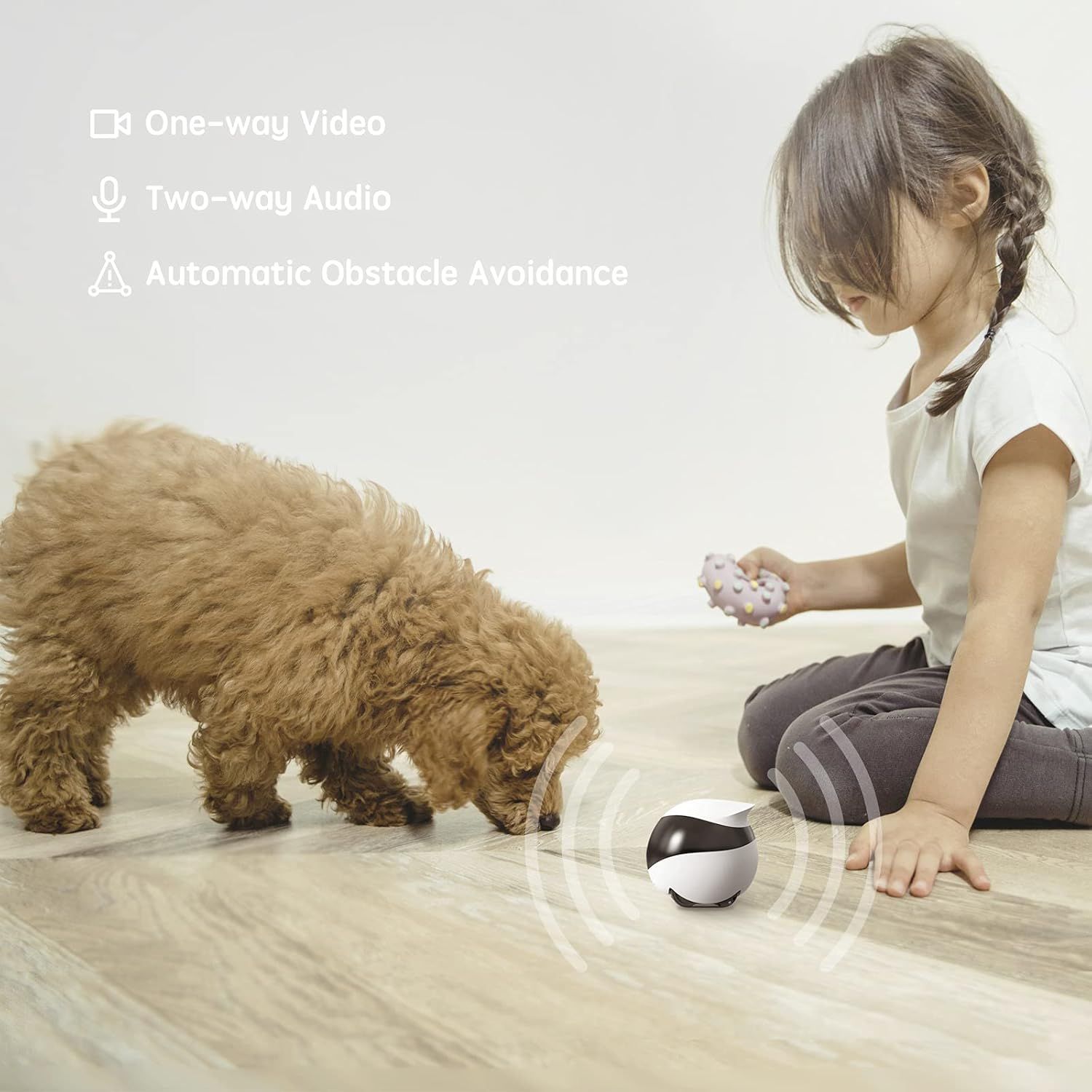 Communicates three distinct smart features of the pet camera/robot to reassure shoppers about its monitoring, communication, and navigation capabilities.