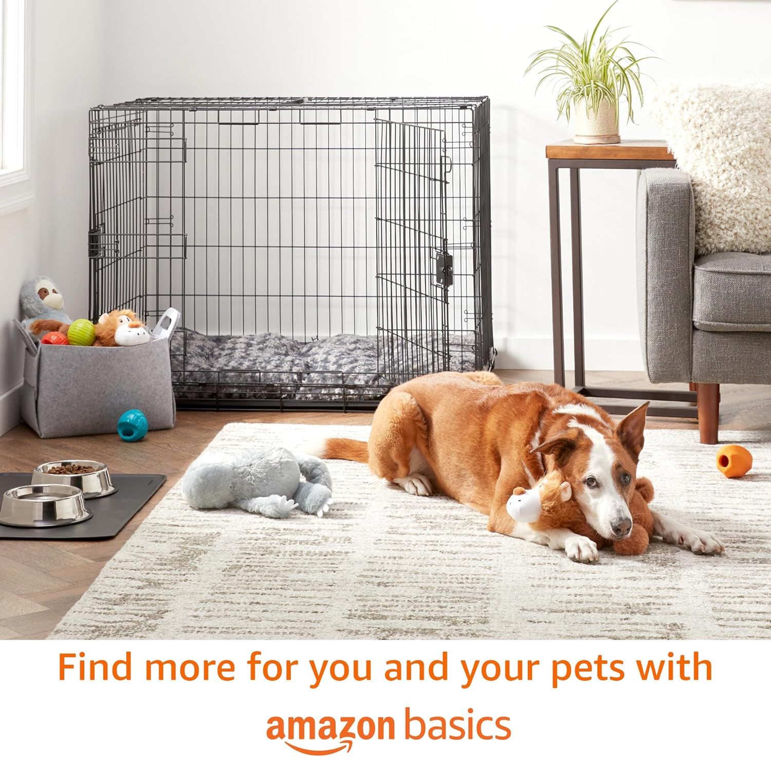 This image promotes the Amazon Basics brand and its pet product line, encouraging shoppers to explore more pet supplies from the brand.