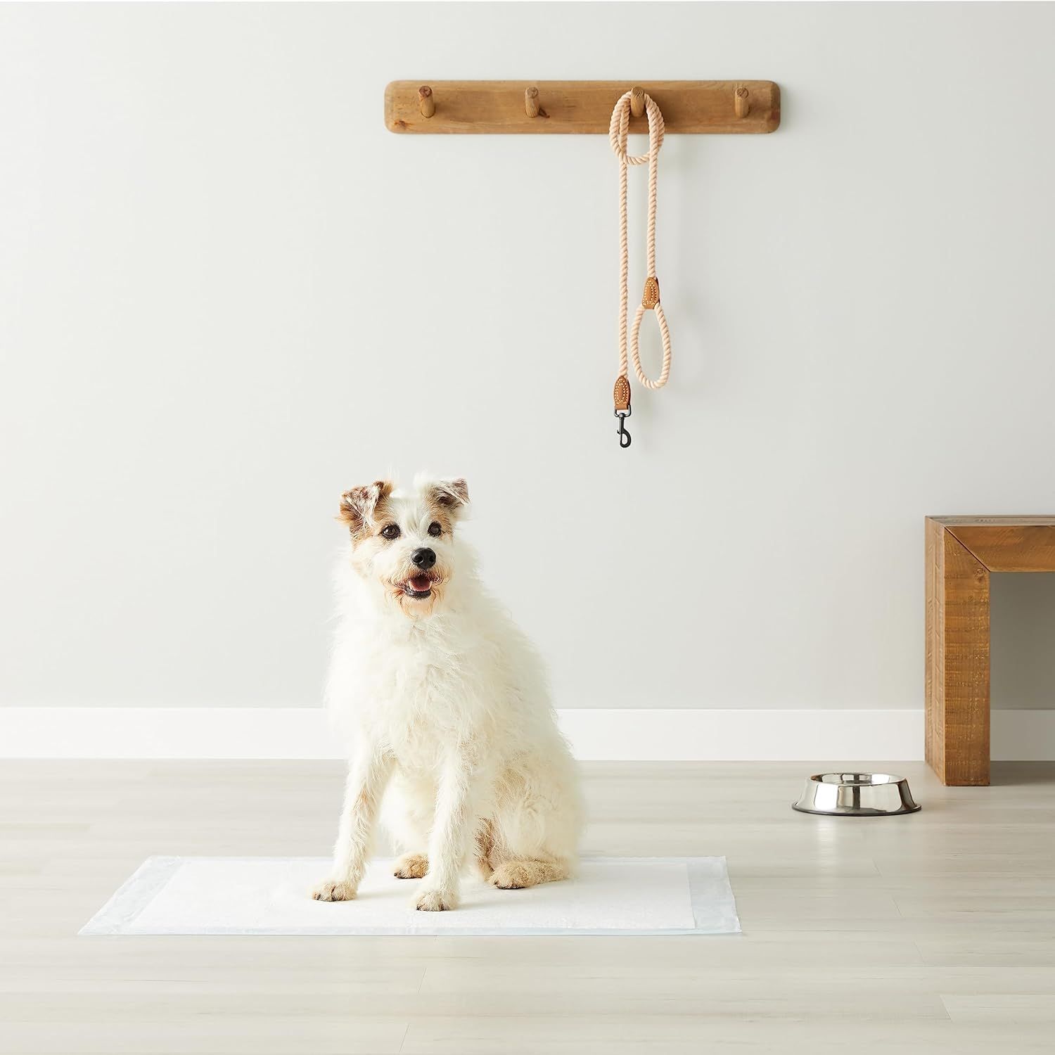 Demonstrates the product in a real-world home setting with a dog to show how it naturally fits into a pet owner's lifestyle and living space.