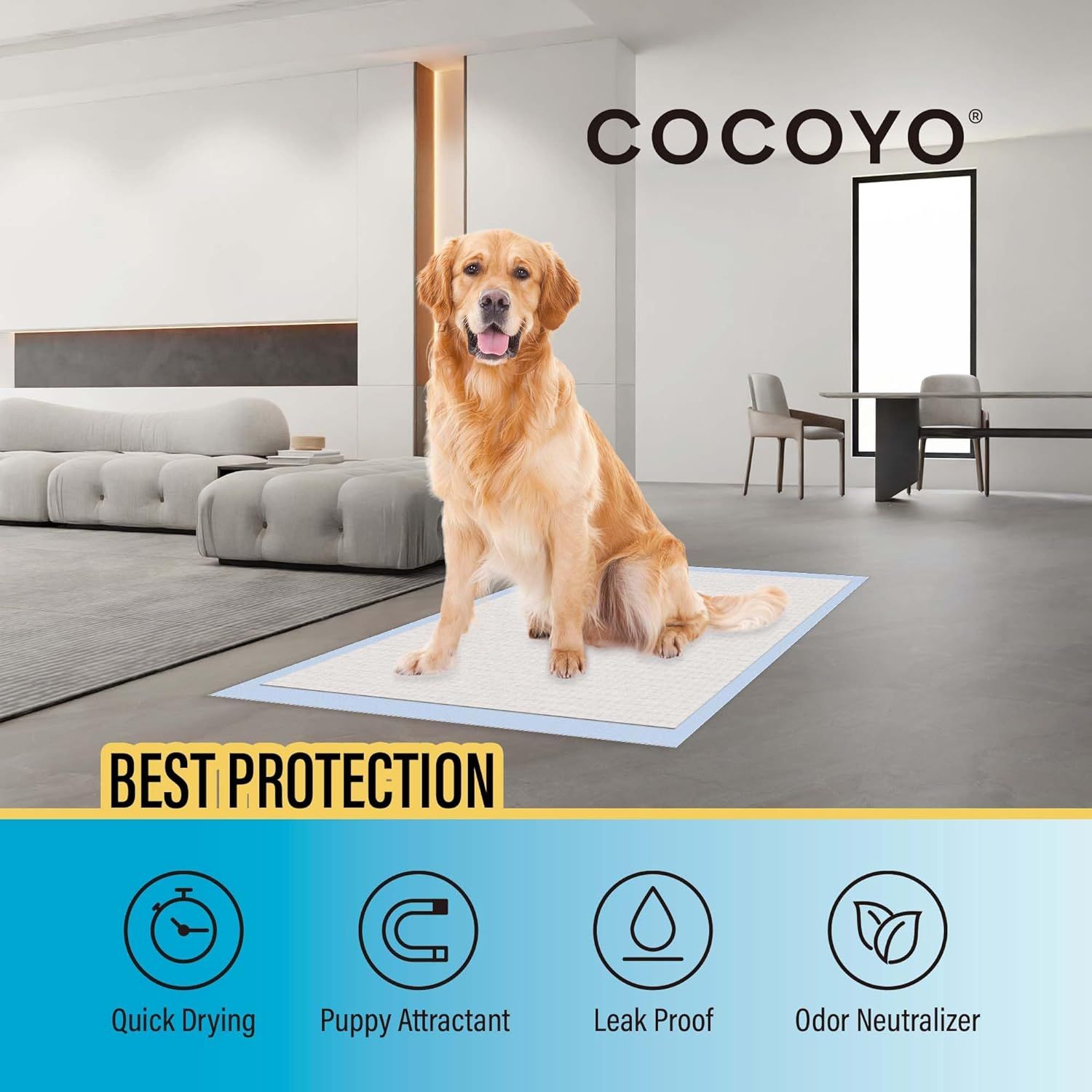 Communicates four distinct benefits of the pet training pad in a segmented layout to show shoppers why this product offers comprehensive protection and convenience for pet training.