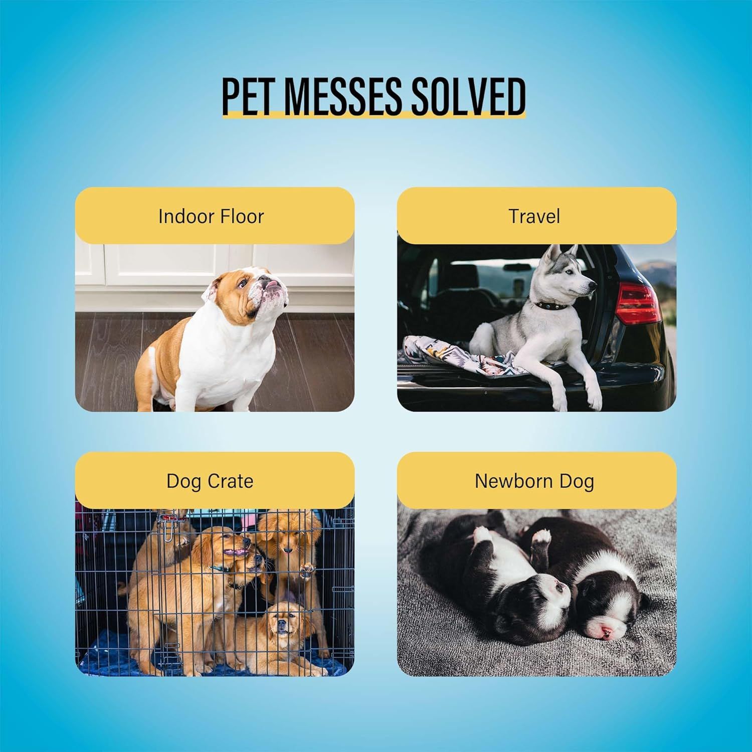 Demonstrates the product's versatility by showing four distinct use scenarios where pet messes can be managed, reassuring shoppers that the product works across multiple environments and situations.