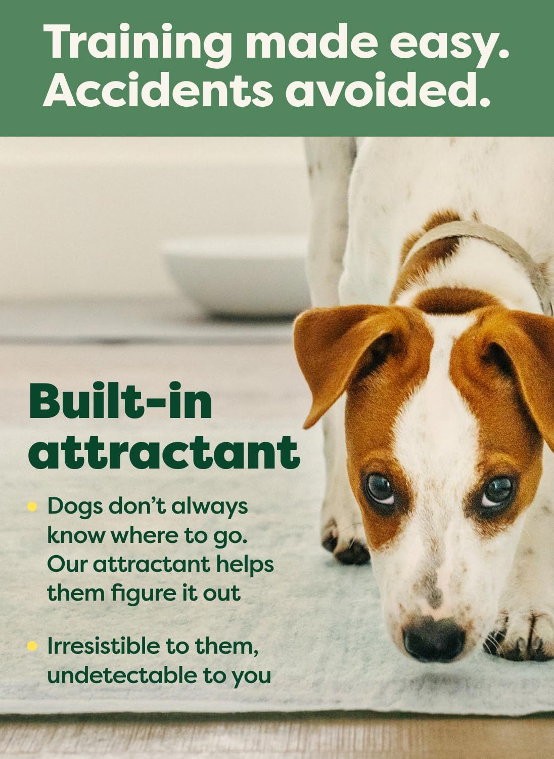 Communicates that the product includes a built-in attractant to help with dog potty training by guiding dogs to the correct spot, making training easier and preventing accidents.