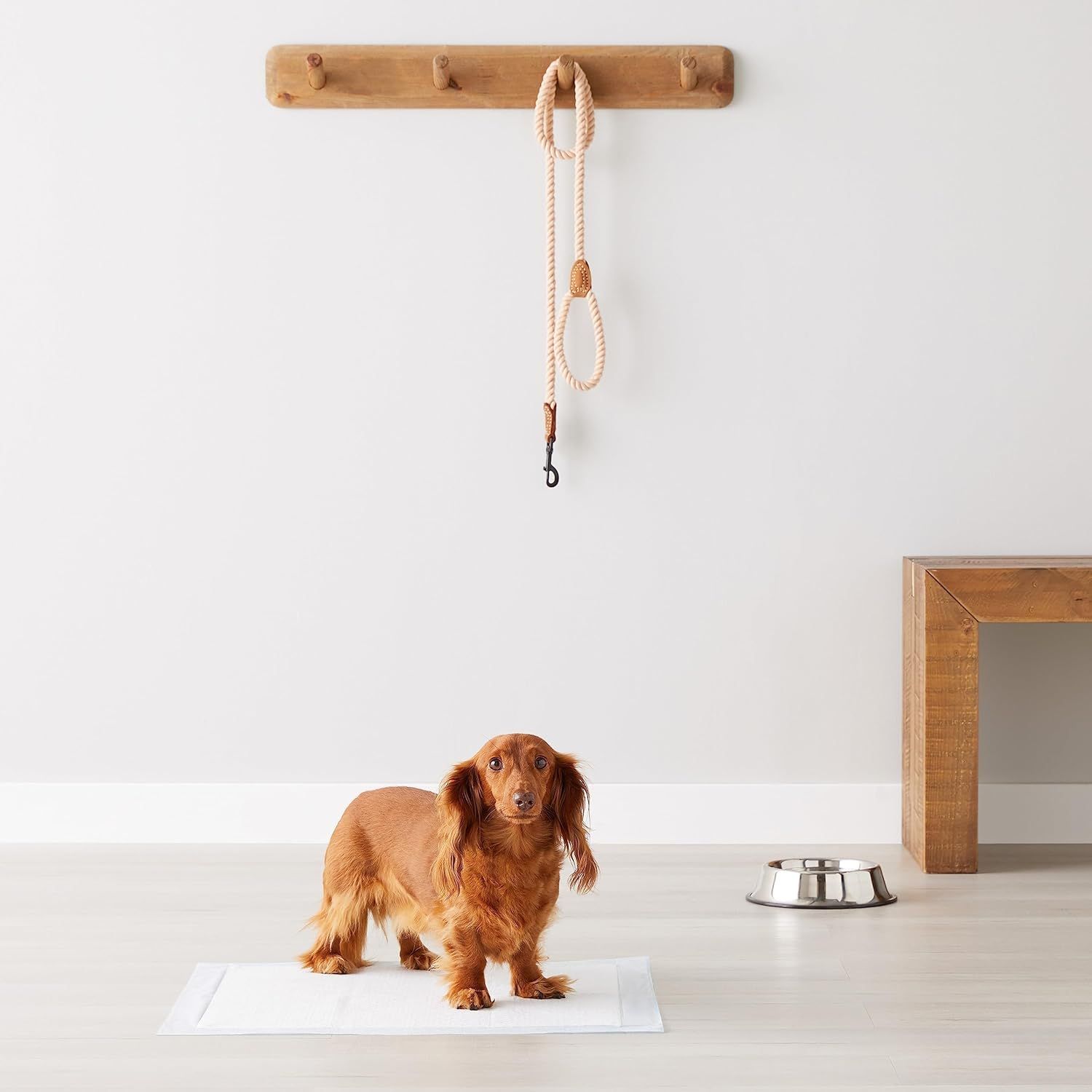 Demonstrates the product in a real-world home setting with a dog to help shoppers visualize how it fits into their daily life and pet care routine.
