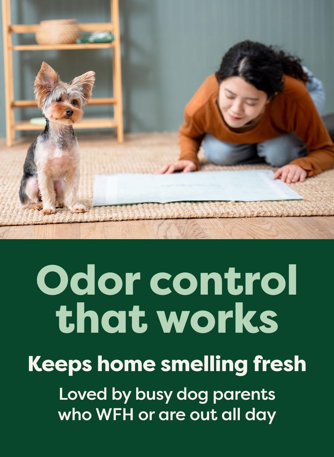 Communicates that the product effectively controls pet odors and keeps homes smelling fresh, particularly appealing to busy dog owners who work from home or are away during the day.