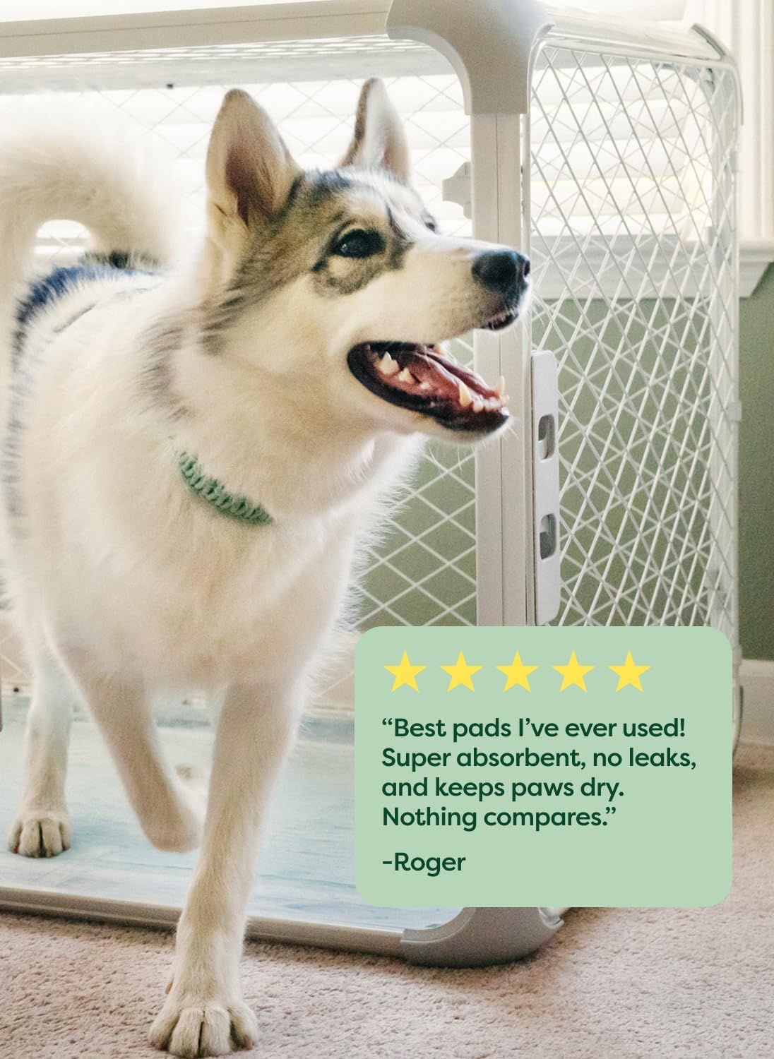 Builds trust and social proof by featuring a real customer quote praising the product's absorbency, leak protection, and paw-drying performance.