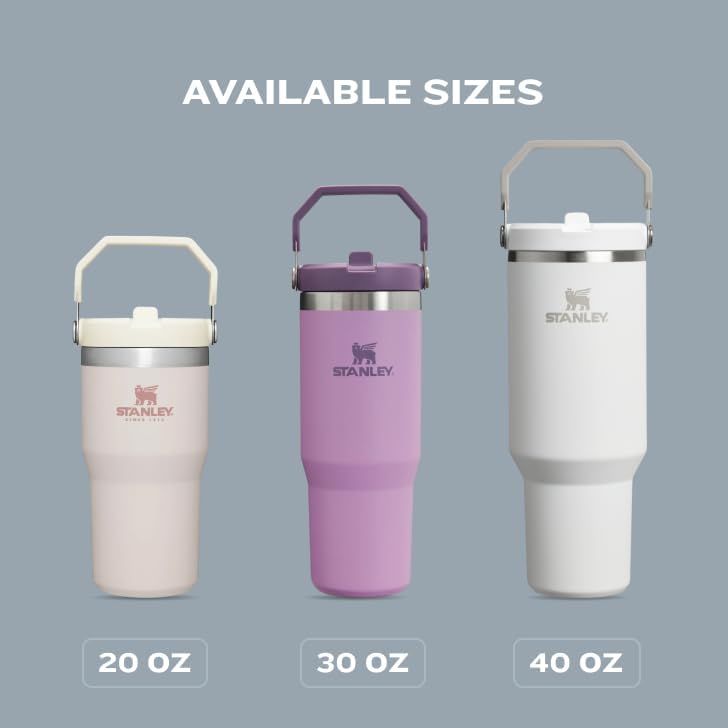 Shows the three available size options (20 oz, 30 oz, 40 oz) of the Stanley tumbler to help shoppers choose the right capacity for their needs.