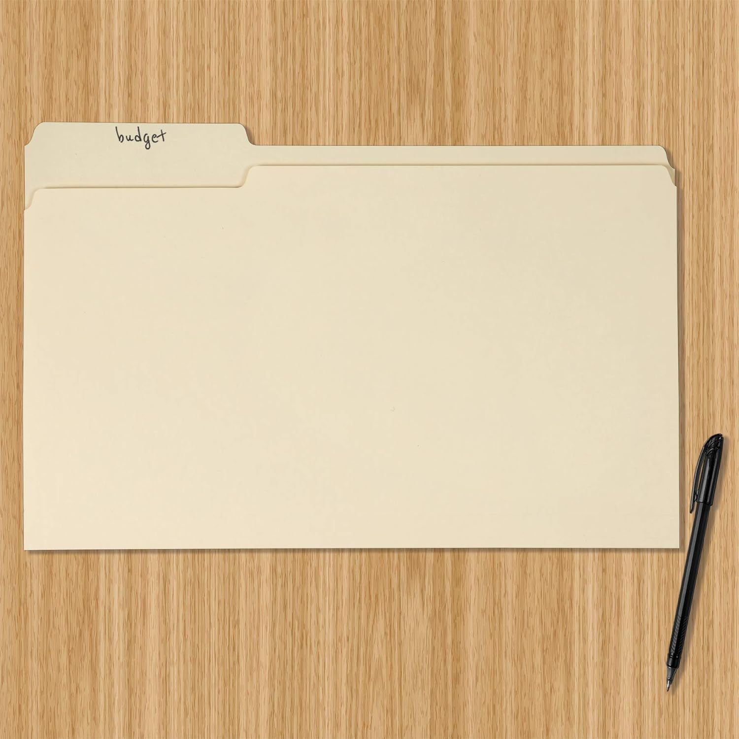 Provides a clean, catalog-style view of the file folder product on a neutral background to show its physical appearance and labeling capability.