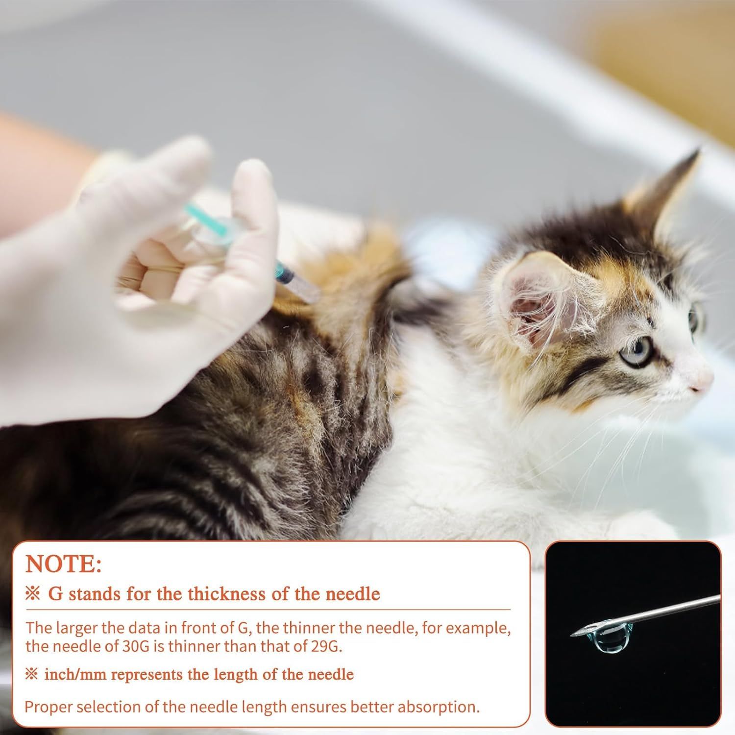 Educates pet owners on how to select the correct needle gauge and length for their pet's medication, ensuring proper administration and better absorption.