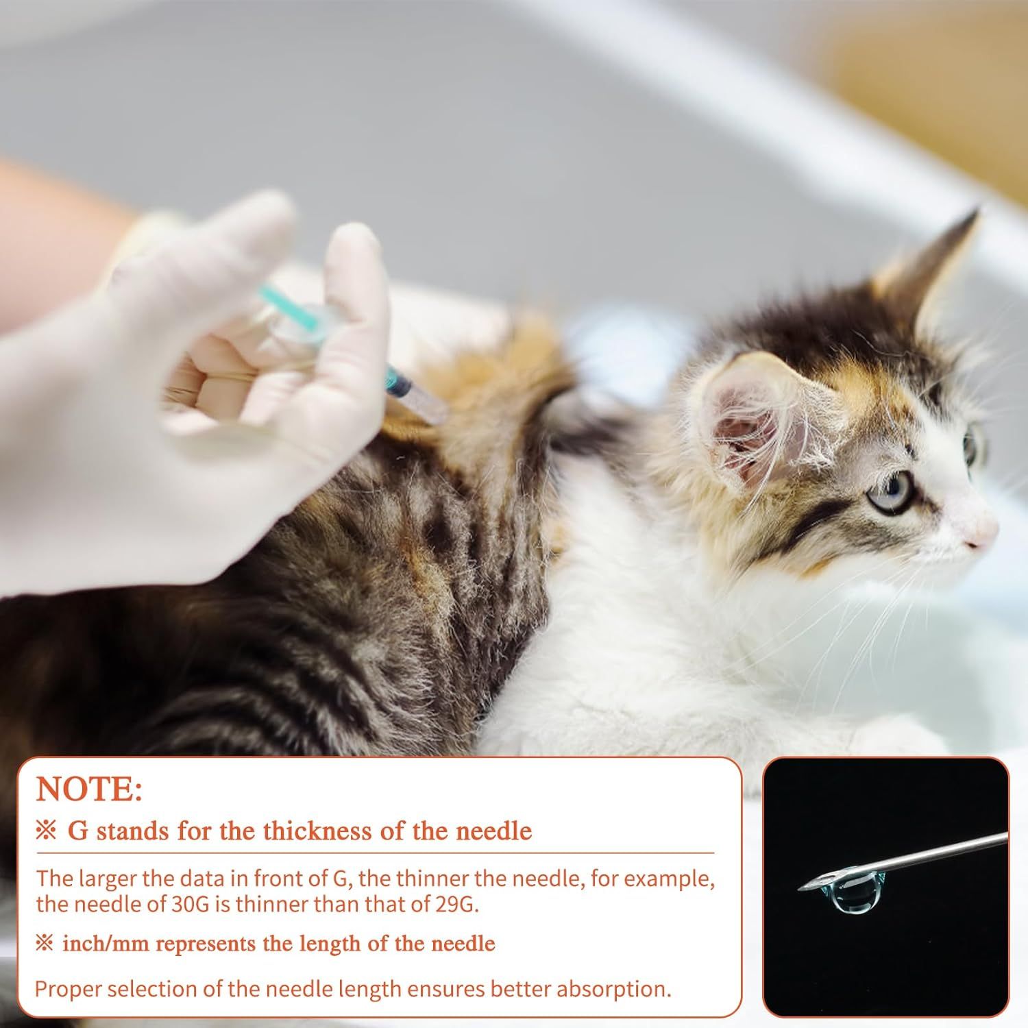 Educates pet owners on how to properly select and use needles for pet injections, explaining needle gauge and length specifications to ensure safe and effective administration. Reassures customers…