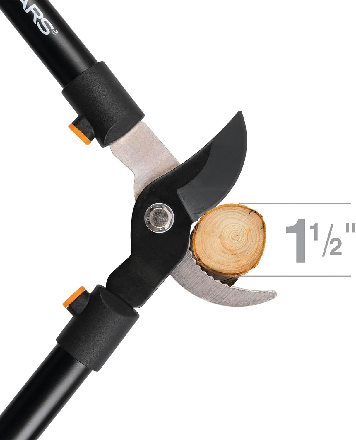 Demonstrates the maximum cutting capacity of the pruning shears (1½ inches) to help shoppers understand what size branches the tool can handle.
