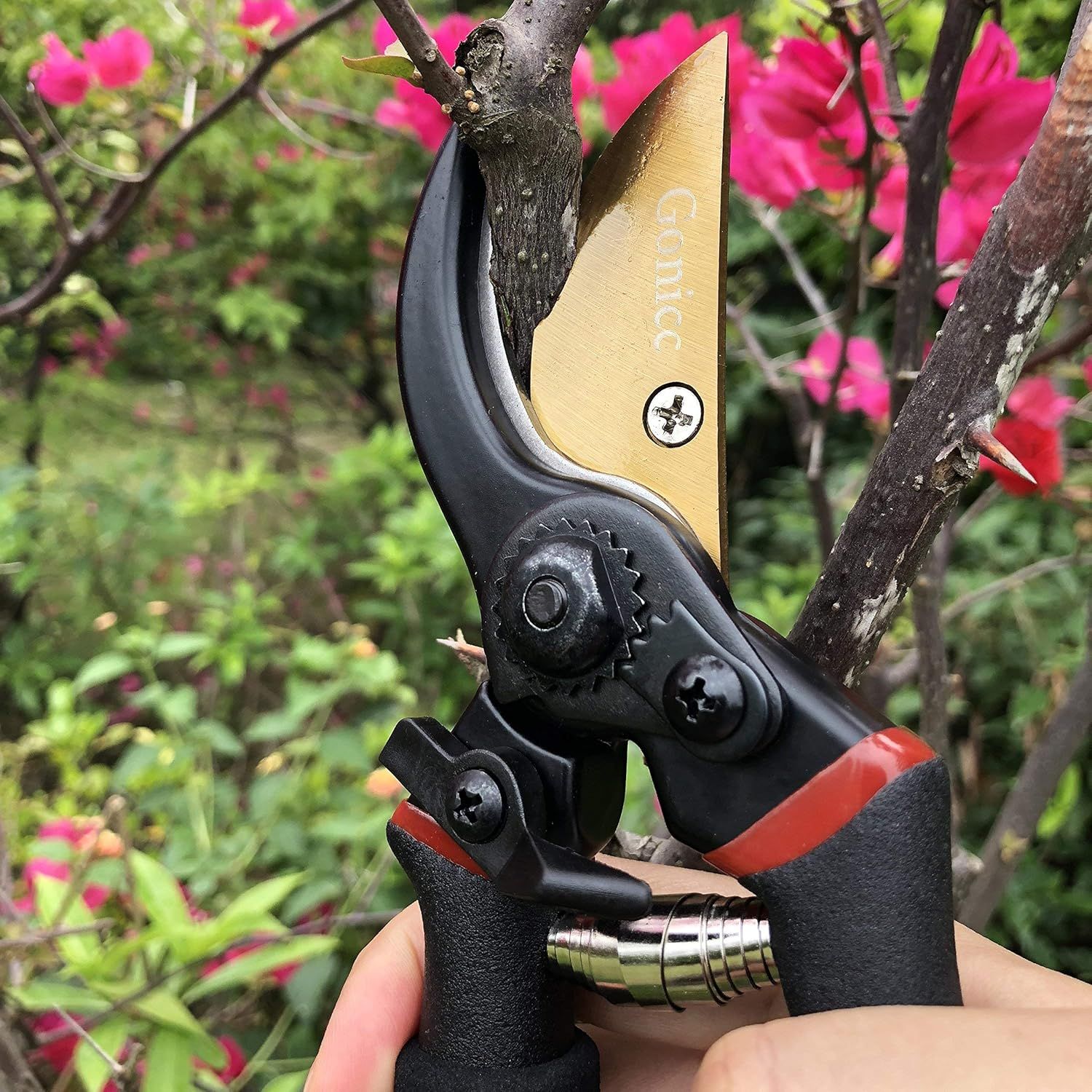 Shows the pruning shears being used in a real-world gardening environment to help shoppers visualize the product in action and understand its practical application.