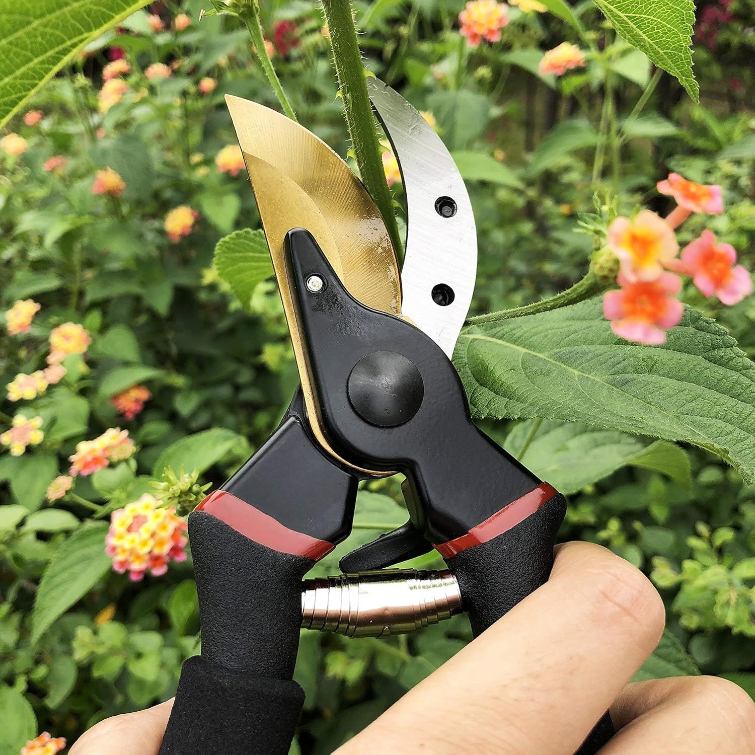 Demonstrates the product in its natural real-world environment (gardening) to help shoppers visualize using the pruning shears in their own garden.