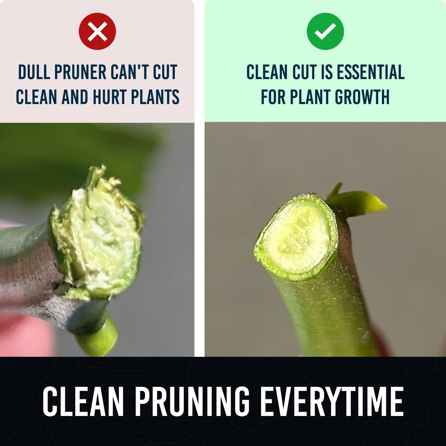 Demonstrates the superiority of the product's sharp blade by comparing a clean cut (right) versus a damaged cut from a dull pruner (left), reassuring shoppers that this tool protects plant health.