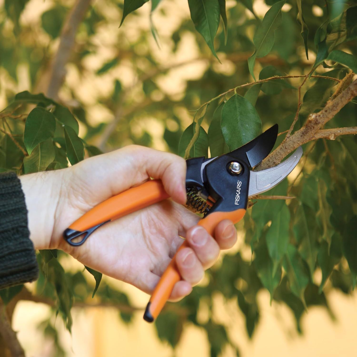 Demonstrates the product being used in a real-world gardening environment to help shoppers visualize practical application and build confidence in the product's intended use.