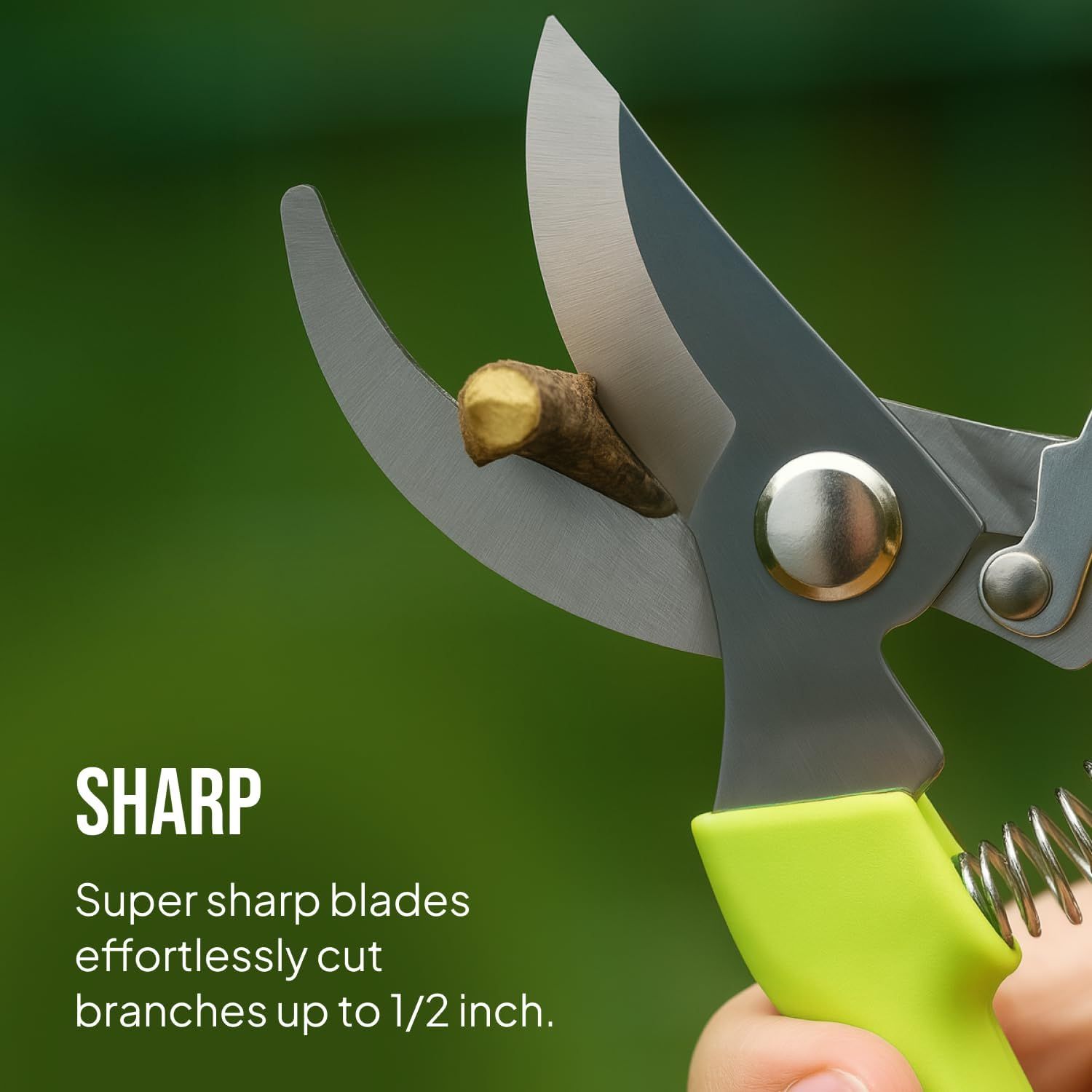 Communicates the product's cutting capability (branches up to 1/2 inch) to help shoppers understand its performance and suitability for their pruning needs. Highlights the sharpness and ease of use…