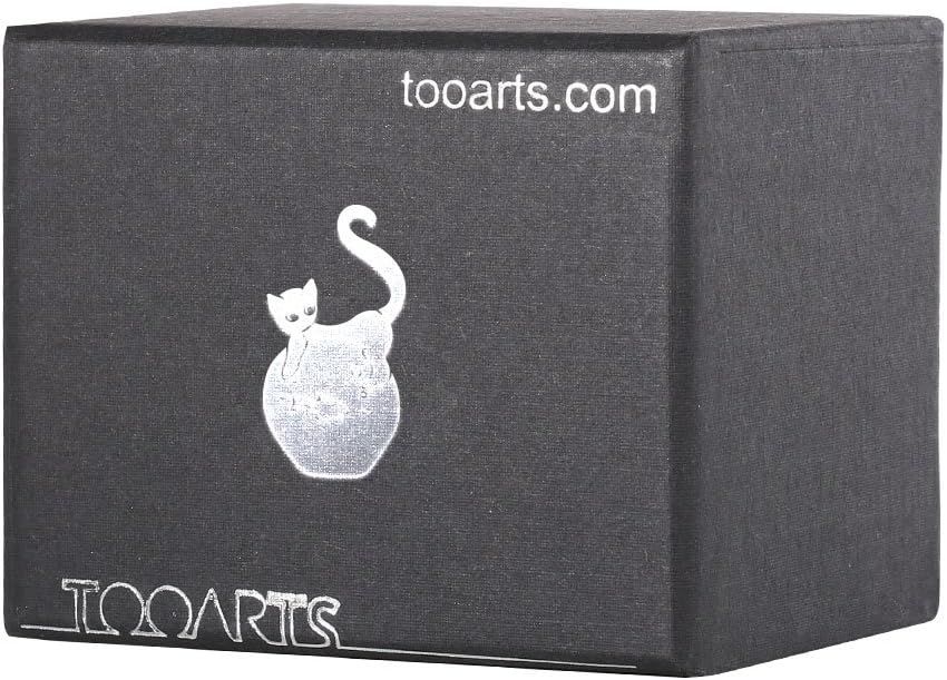 Shows the product packaging in a clean, catalog-style format to give shoppers a clear view of what they will receive.