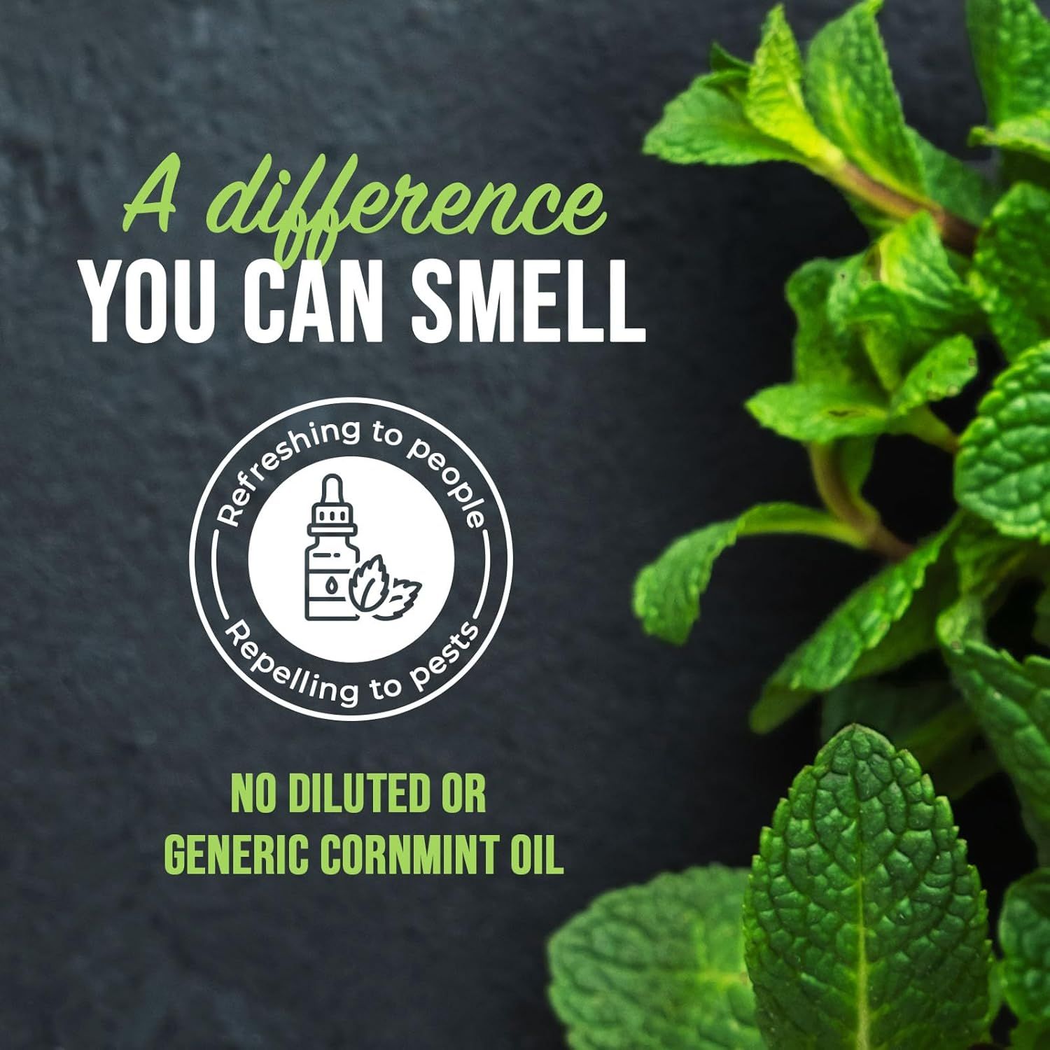 Communicates that this product uses undiluted, premium cornmint oil that is refreshing to people and repelling to pests, differentiating it from diluted or generic alternatives. Highlights the…