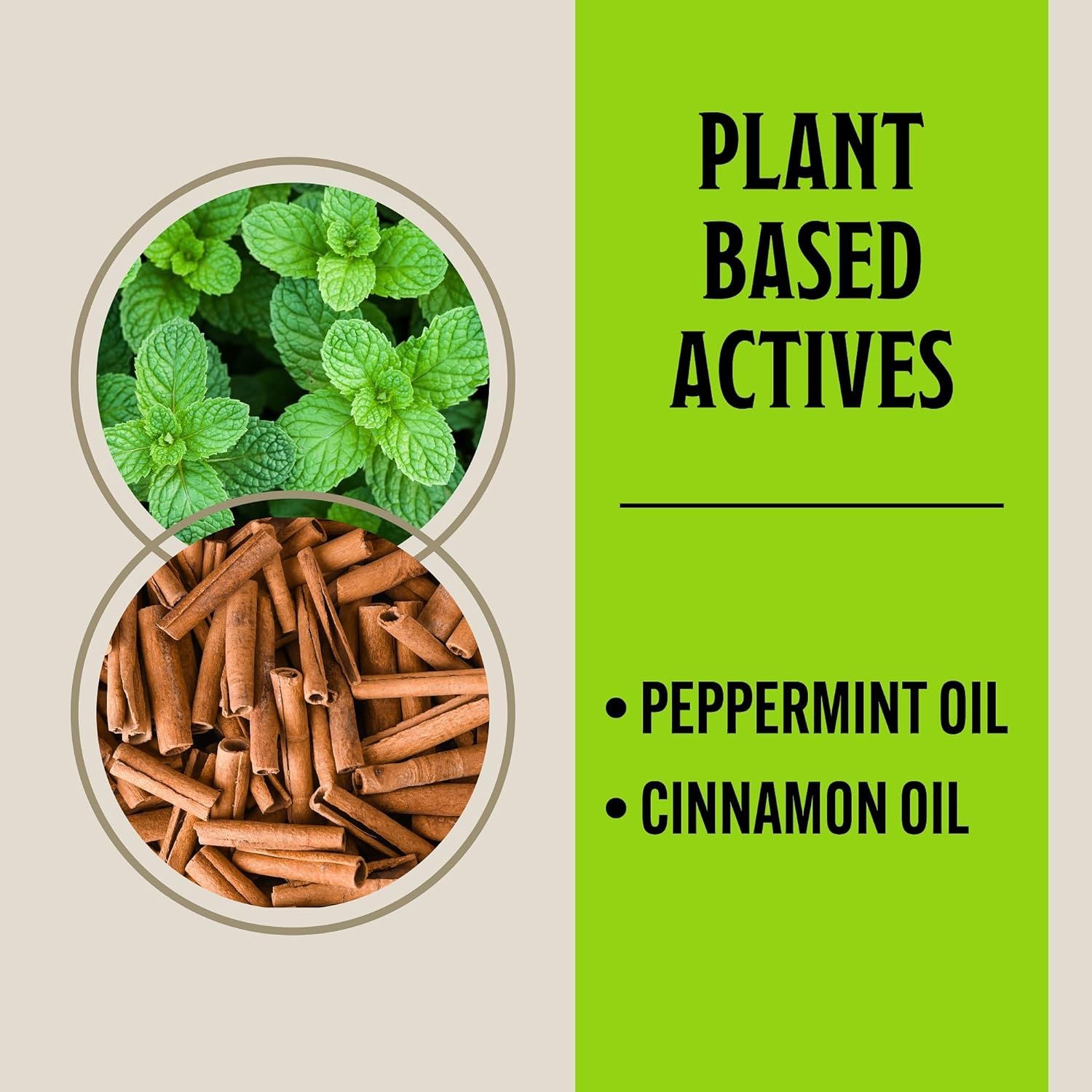 Communicates that the product contains natural plant-based active ingredients (peppermint oil and cinnamon oil) to reassure shoppers seeking natural or botanical formulations.