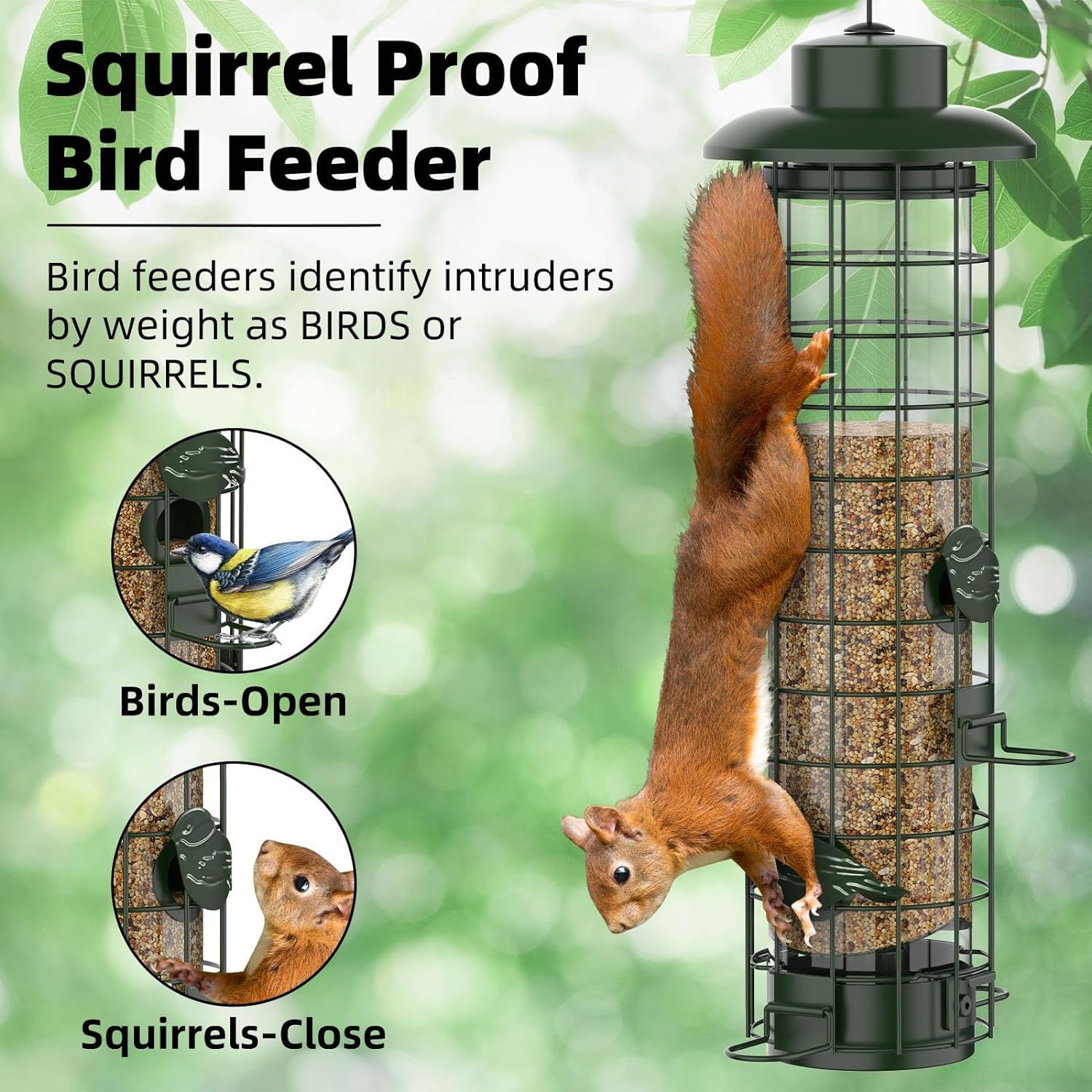 Explains how the bird feeder's weight-sensing mechanism works to allow birds access while closing to prevent squirrels from feeding, demonstrating the product's smart squirrel-proof functionality.…