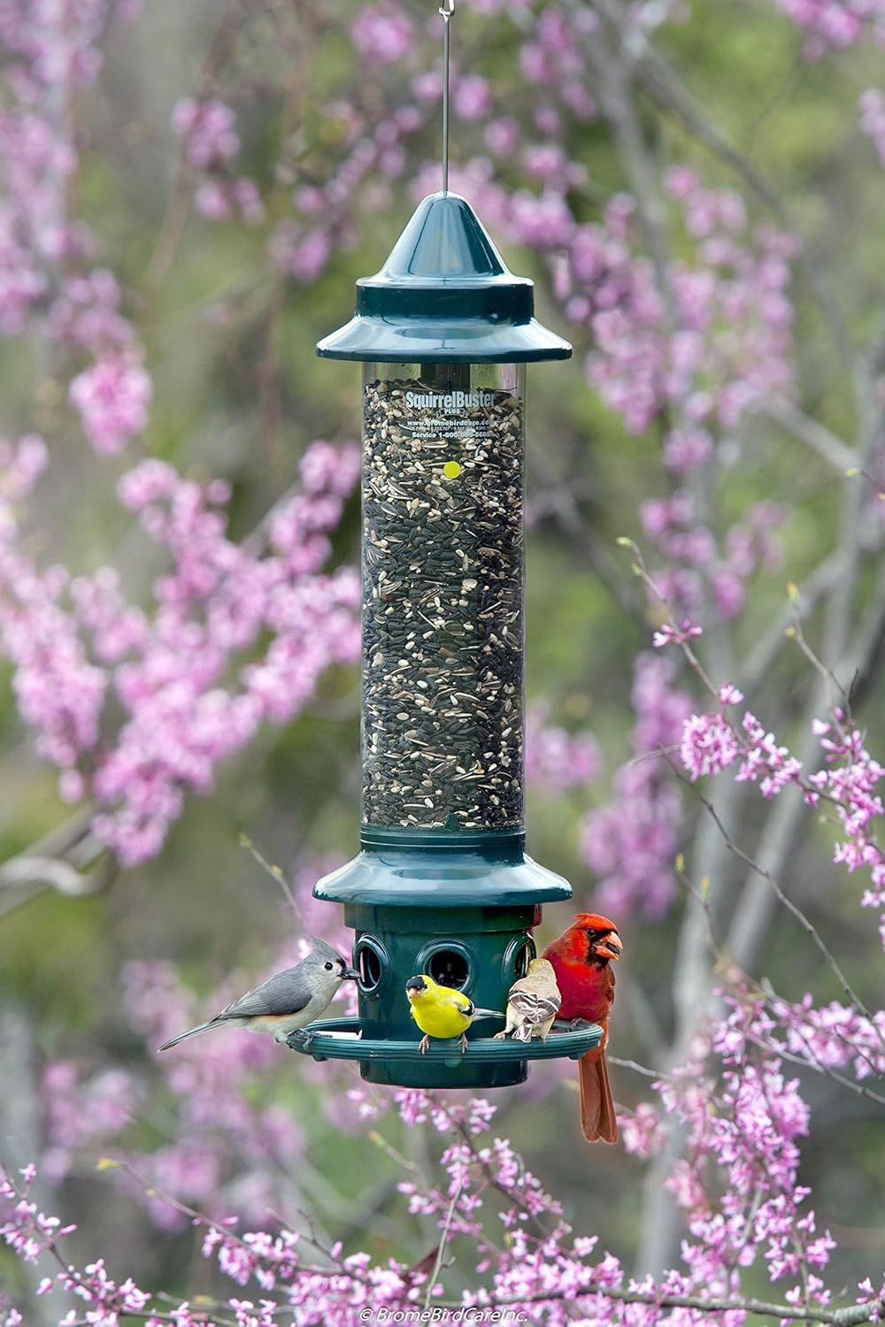 Demonstrates the bird feeder in a real-world outdoor environment with birds actively using it, showing shoppers how the product looks and functions in a natural garden setting.