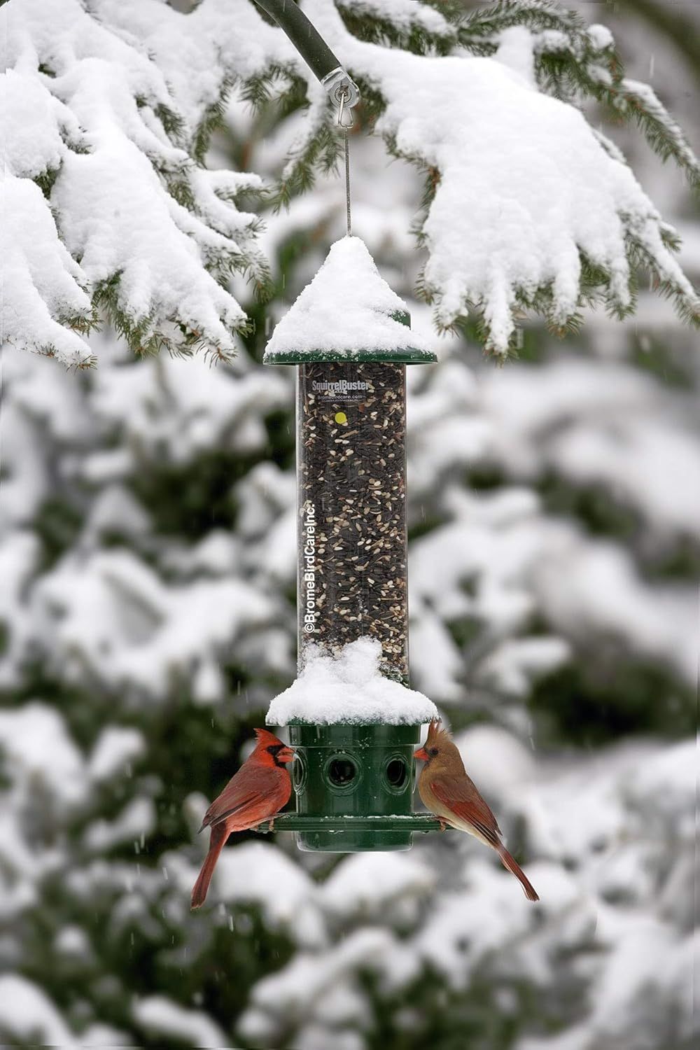 Demonstrates the product in a real-world winter environment with birds actively using it, showing its practical application and appeal during cold weather seasons.