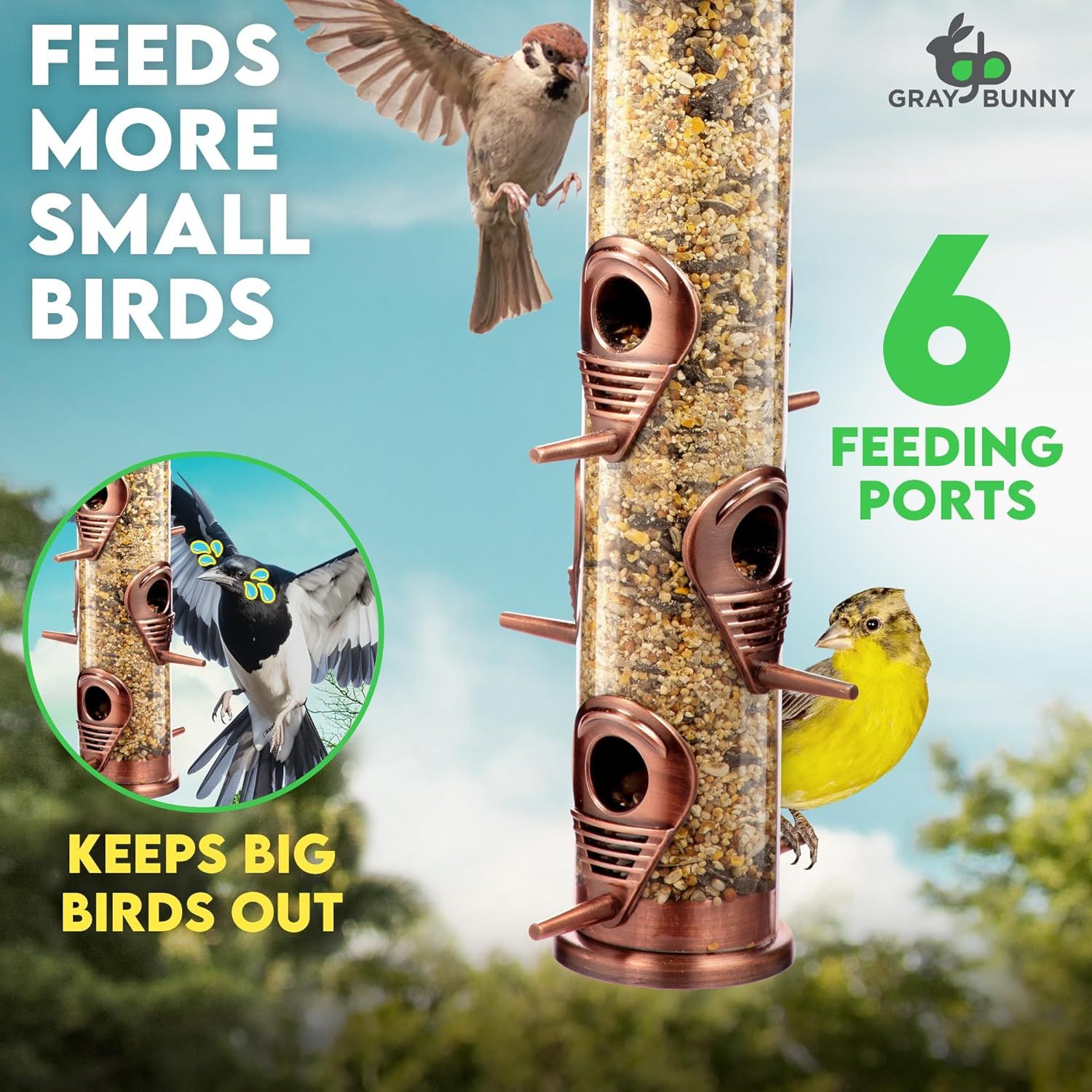 Communicates two key benefits: the feeder has 6 feeding ports to attract more small birds, and its design keeps larger birds out, solving a common bird feeder problem.