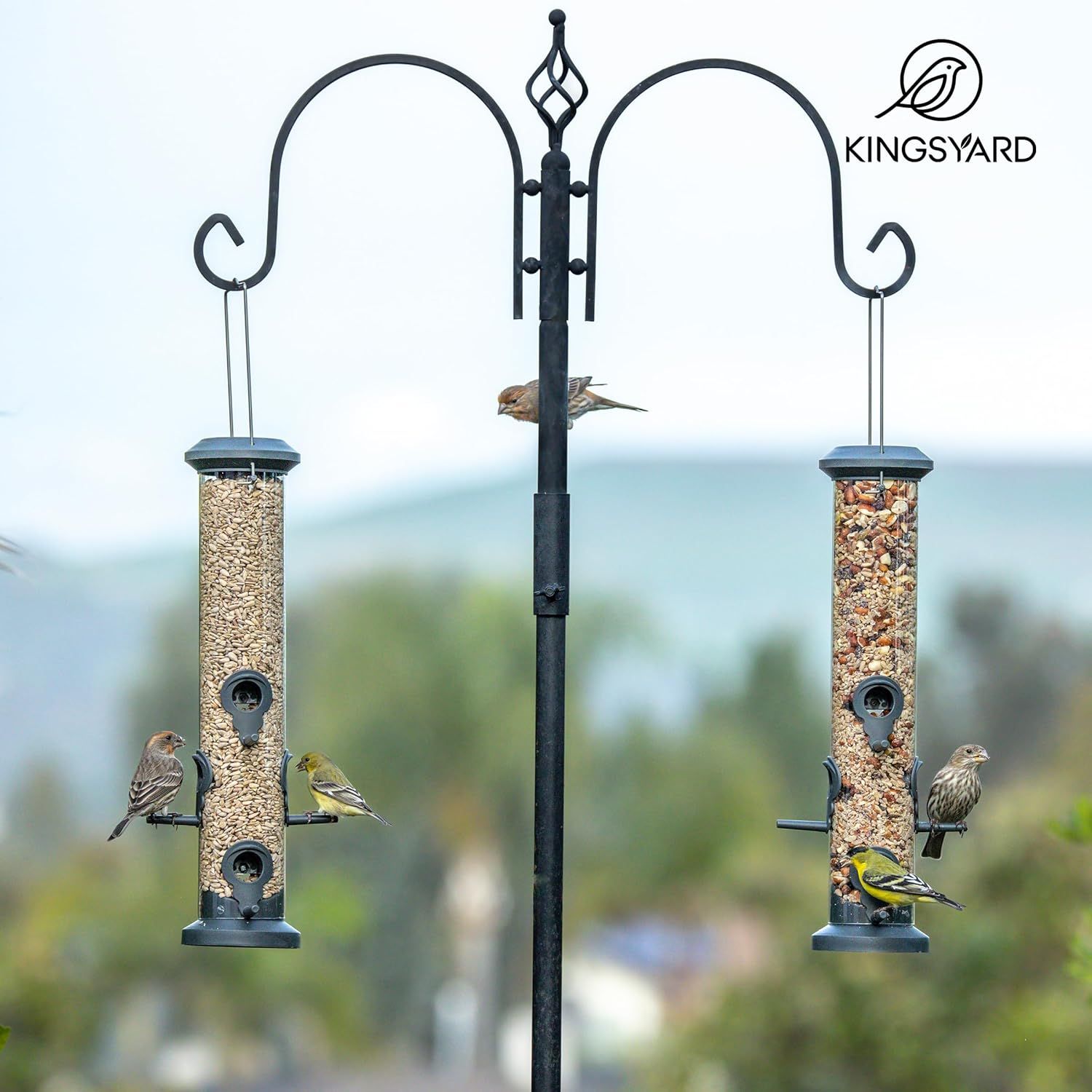 Displays the bird feeder system in a real-world outdoor setting with birds actively using it, demonstrating the product's functionality and appeal to wildlife.