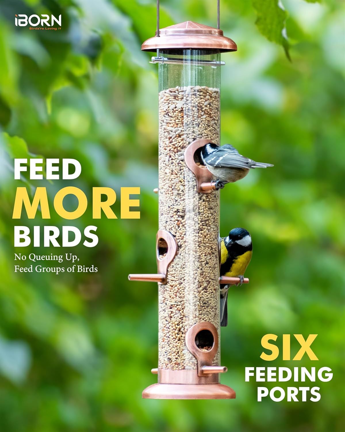 Communicates that the bird feeder has six feeding ports, allowing multiple birds to feed simultaneously without queuing, emphasizing convenience and capacity.