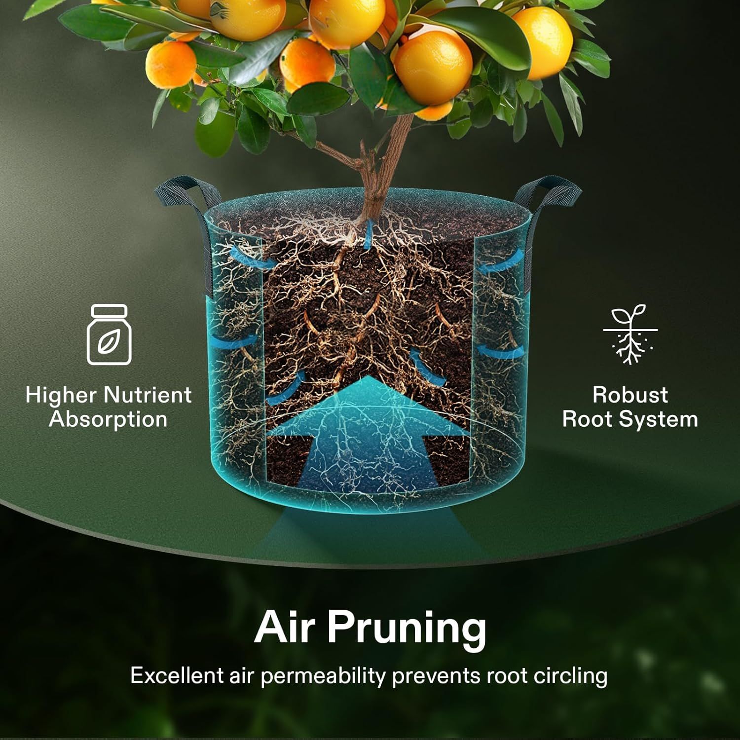 This image demonstrates how the planter's design enables air pruning technology, which promotes healthier root development, prevents root circling, and enhances nutrient absorption for better plant…