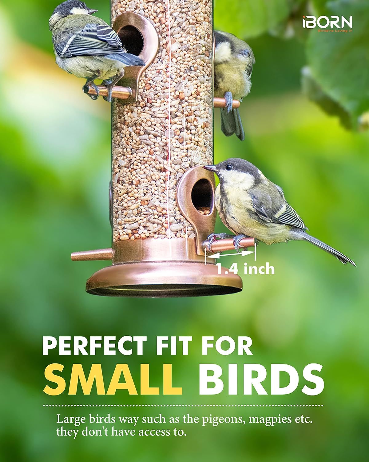 Communicates that the feeder's perch size is designed specifically for small birds, preventing larger birds from accessing the food. Highlights the key benefit that the feeder is designed to…