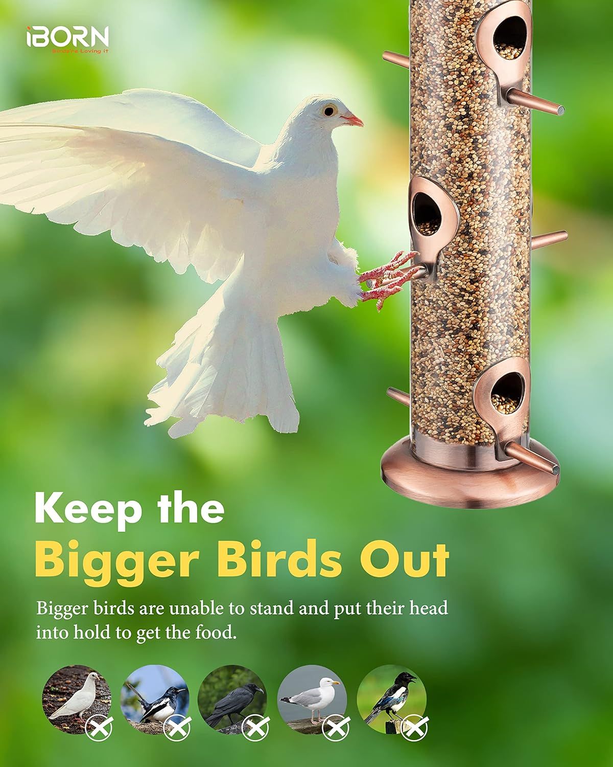 Communicates that the bird feeder design prevents larger birds from accessing the food, ensuring it's reserved for smaller bird species.