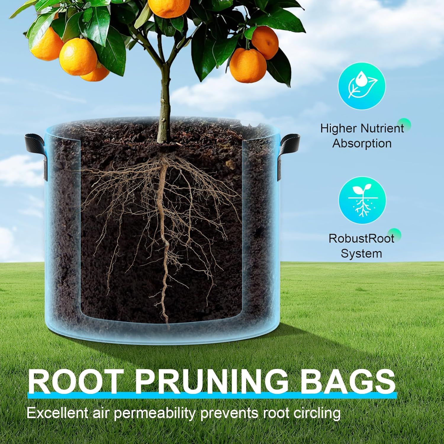 Communicates multiple distinct benefits of the root pruning bags through visually segmented callouts with icons, showing how the product promotes healthier plant growth through nutrient absorption,…