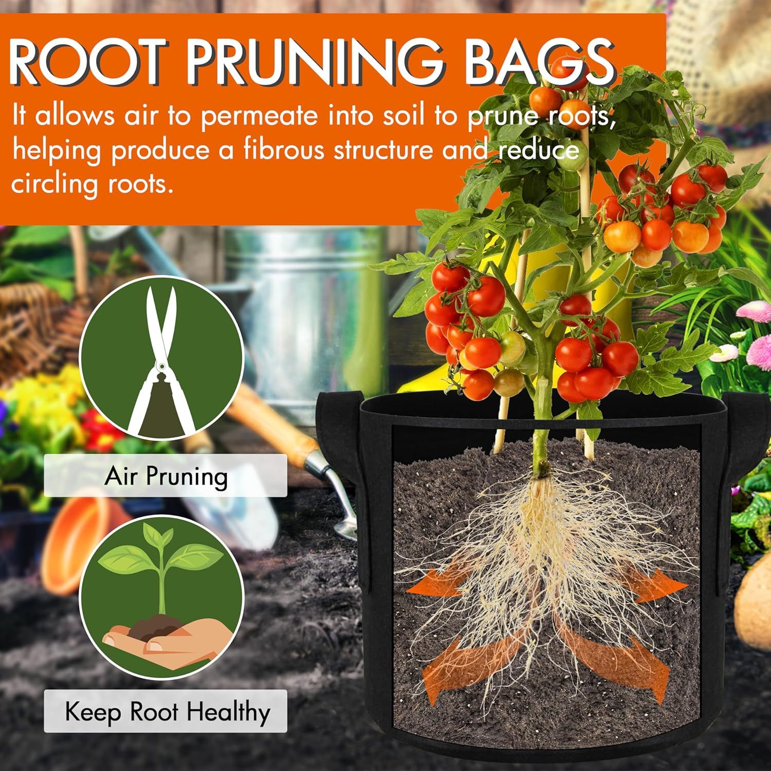 Communicates how the root pruning bag allows air permeation to prune roots and promote healthy fibrous root structure, reducing circling roots.