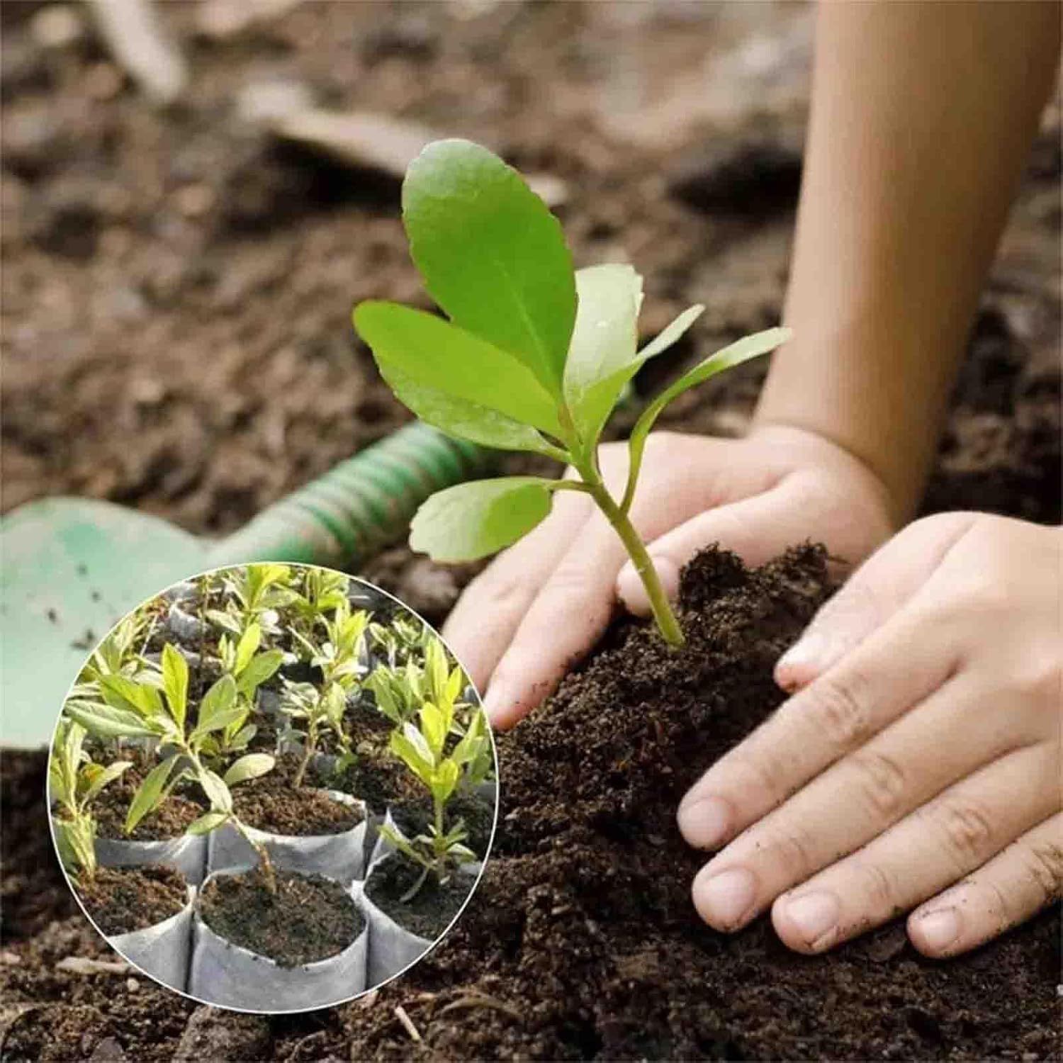 Demonstrates how to use the product (likely seedling starter pots or planting tool) by showing the planting process step-by-step, from starter pots to transplanting in soil.