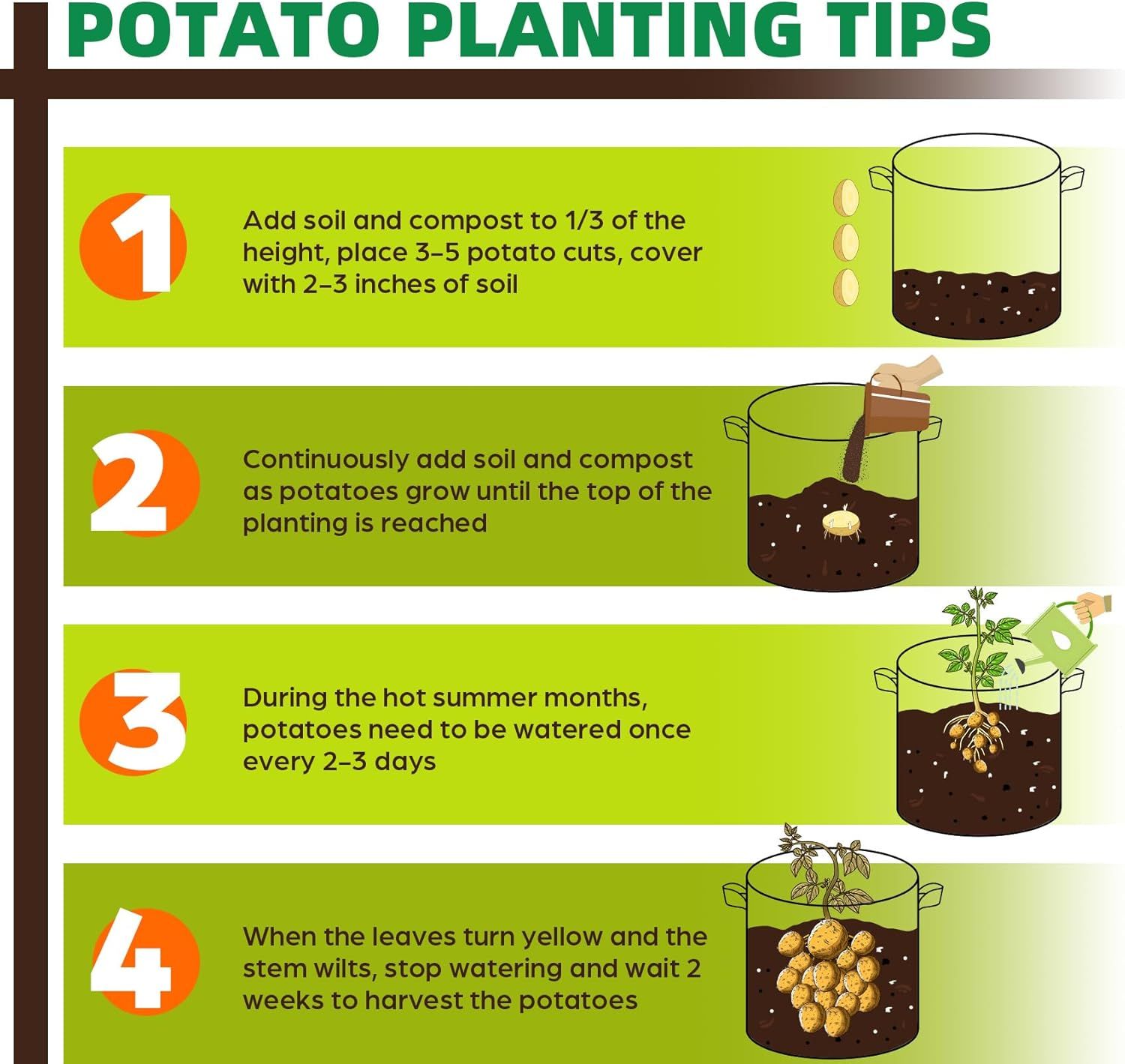 Provides clear sequential instructions on how to plant, grow, water, and harvest potatoes using a container method, helping shoppers understand the complete growing process.