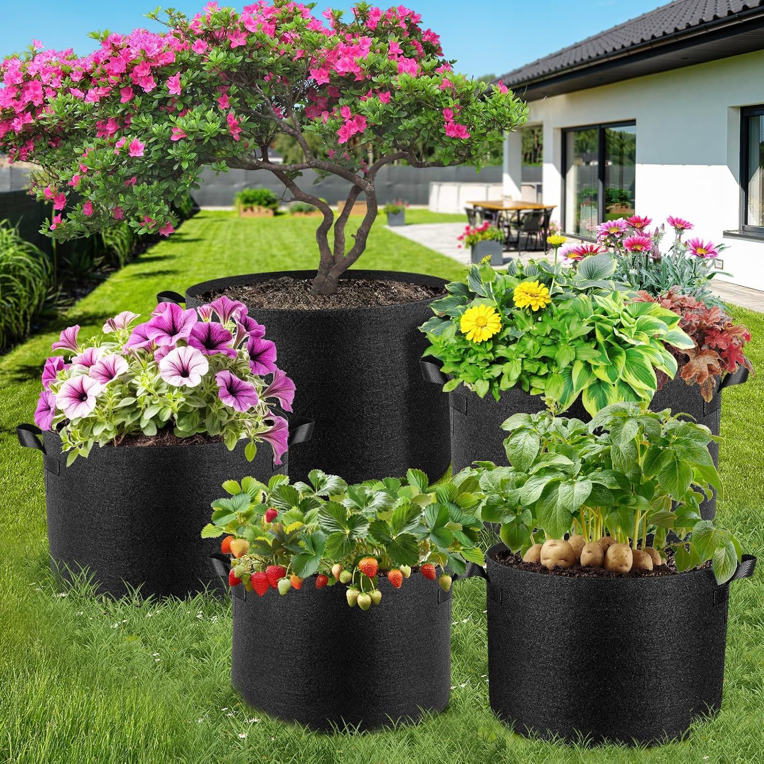 Demonstrates the versatility of the grow bags by showing multiple different planting applications—ornamental flowers, fruit/vegetable growing, and even small trees—to communicate that the product…