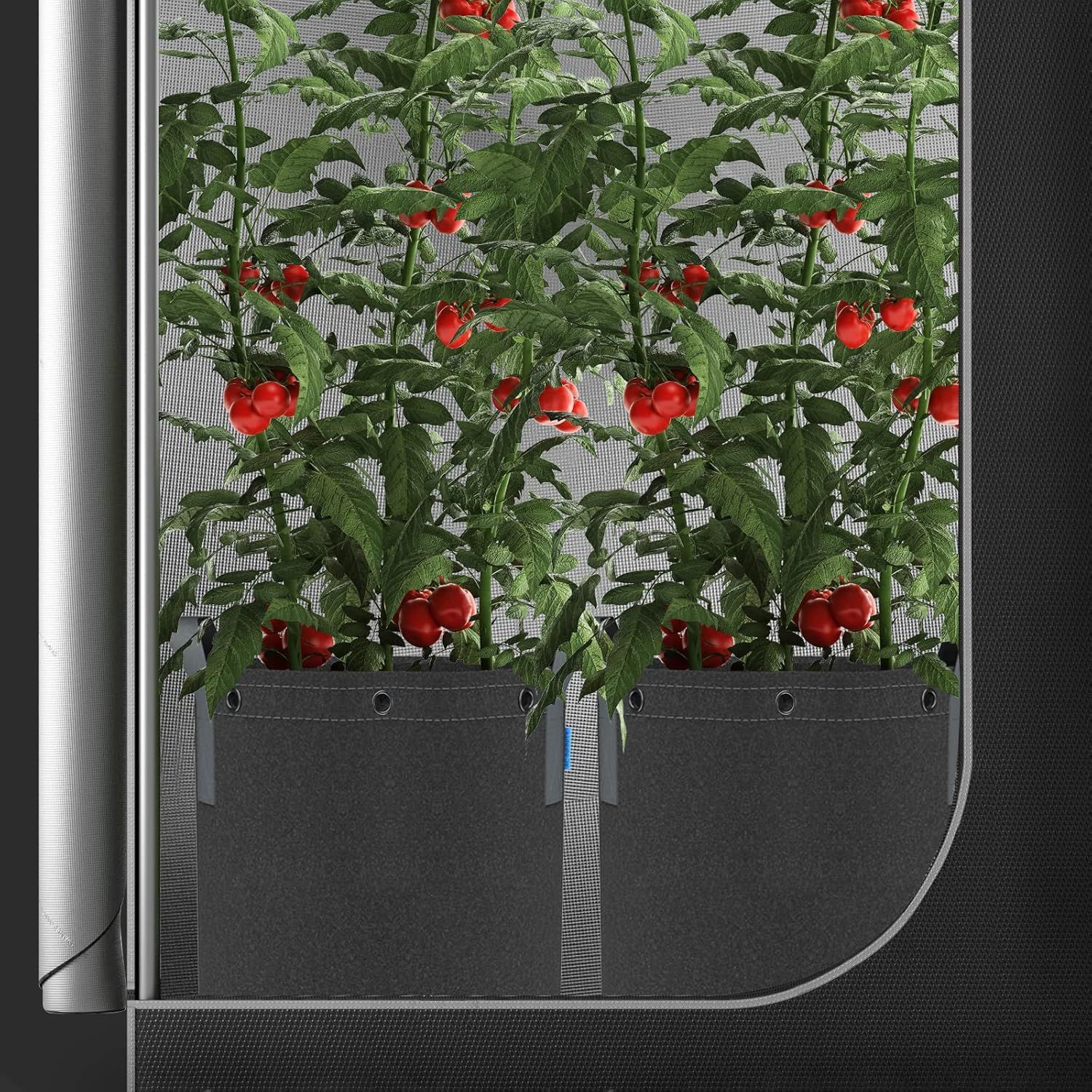Demonstrates the product in use within a real-world indoor setting, showing tomato plants thriving in the grow bags to help shoppers visualize the product's practical application.