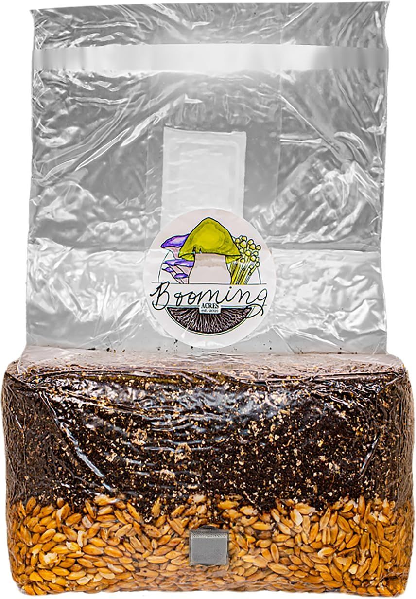Shows the customer everything included in the mushroom growing kit—the substrate block, growing bag, and all necessary components—to communicate the completeness and value of the purchase.