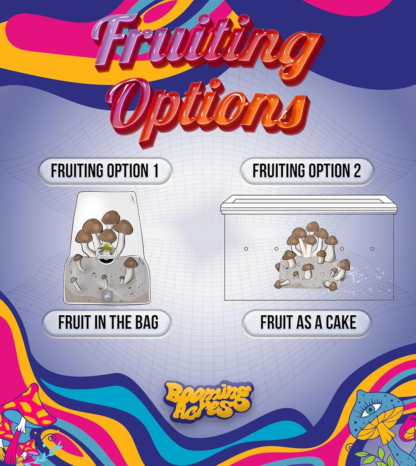 This image helps shoppers choose between two different fruiting methods offered by the brand, showing the product lineup options for growing mushrooms in a bag versus in a cake format.