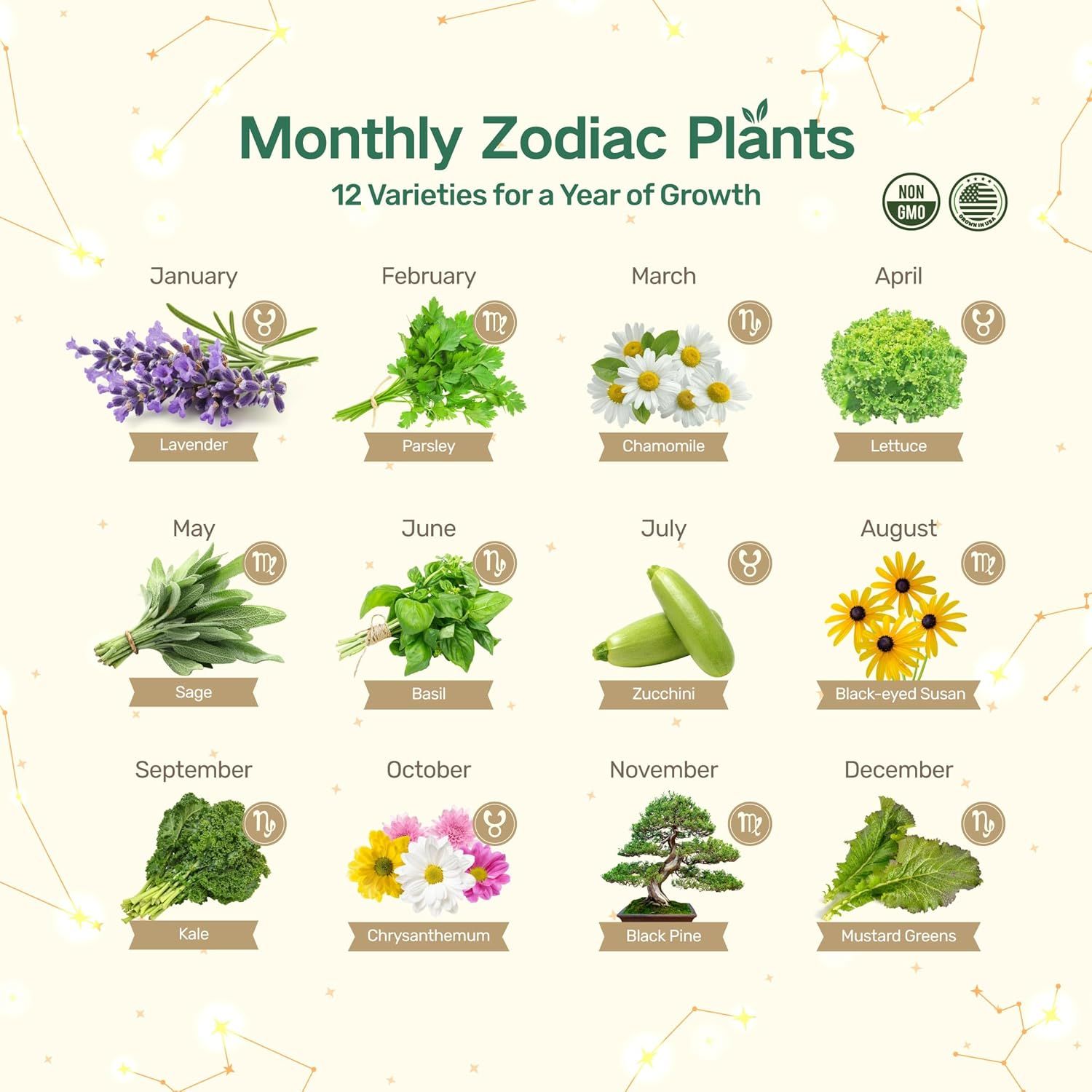 Showcases the brand's complete product lineup of 12 monthly zodiac plants, helping shoppers understand the full collection and choose which variety suits their needs or birth month.