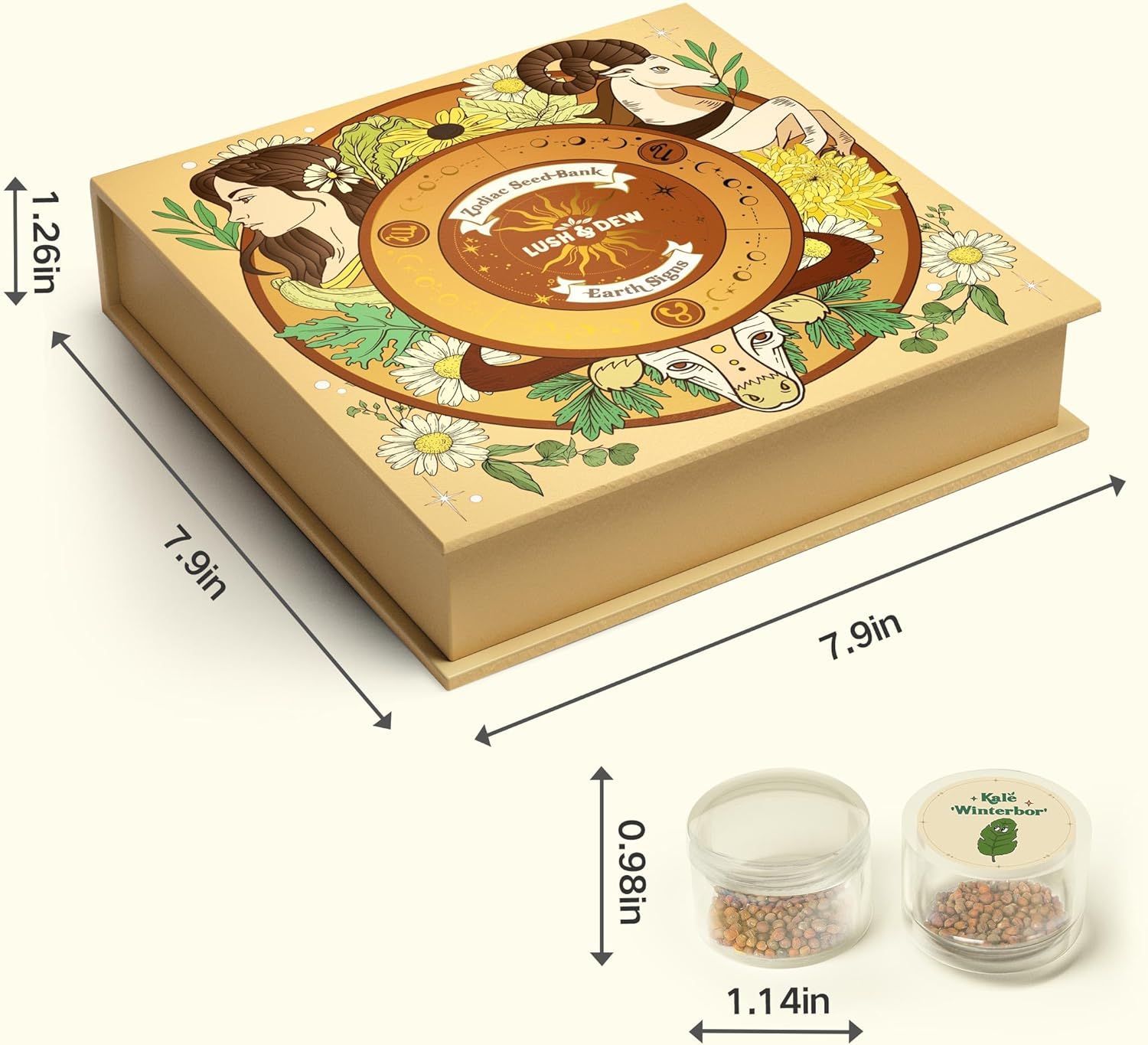 Communicates the exact physical dimensions of the seed bank box and seed containers to help shoppers understand the product's size and storage footprint.