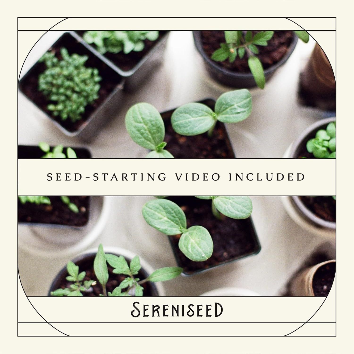 Communicates that the product includes an instructional video to help customers successfully start seeds, adding value and reassurance for beginners.