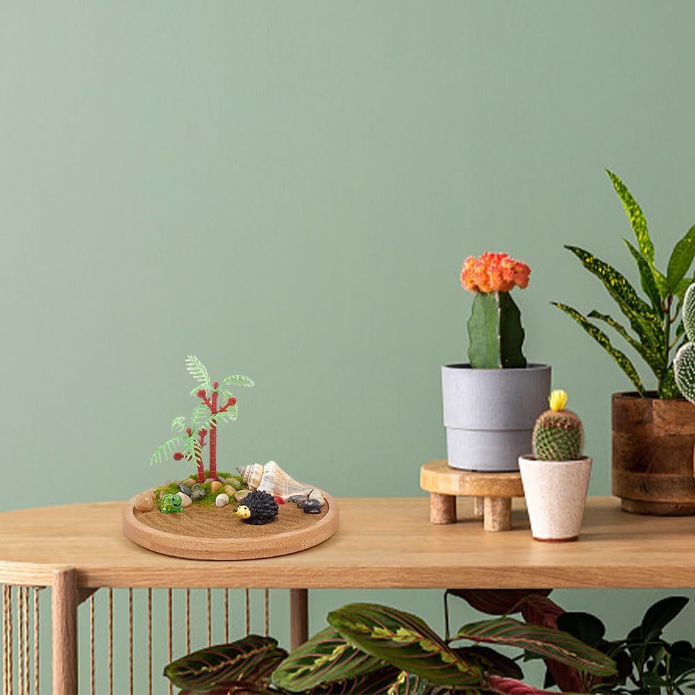 Demonstrates how the product fits naturally into a modern home environment, showing its aesthetic appeal and decorative use alongside other plants and home accessories.