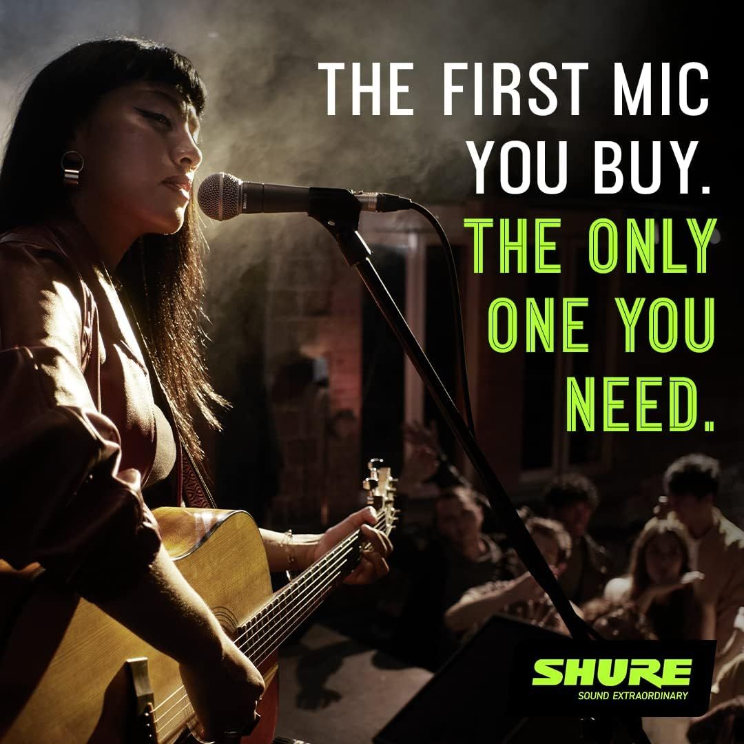 Communicates the brand's positioning as the essential, go-to choice for musicians and performers, building emotional connection through aspirational lifestyle imagery and bold brand messaging.